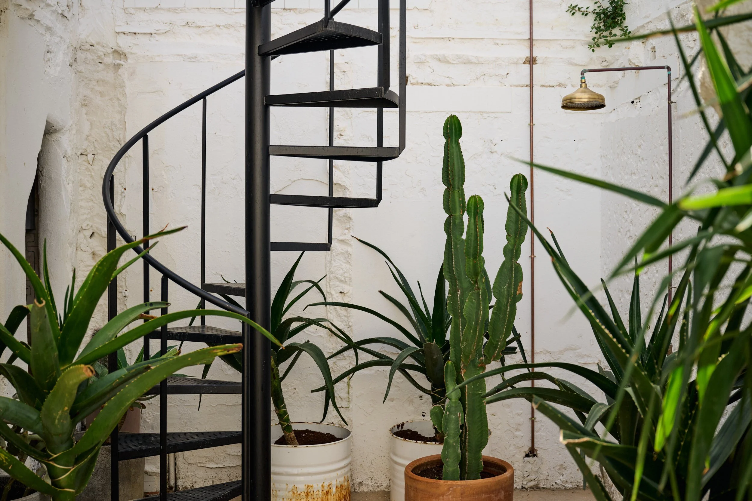 Program — The Residency at Casa Gràcia