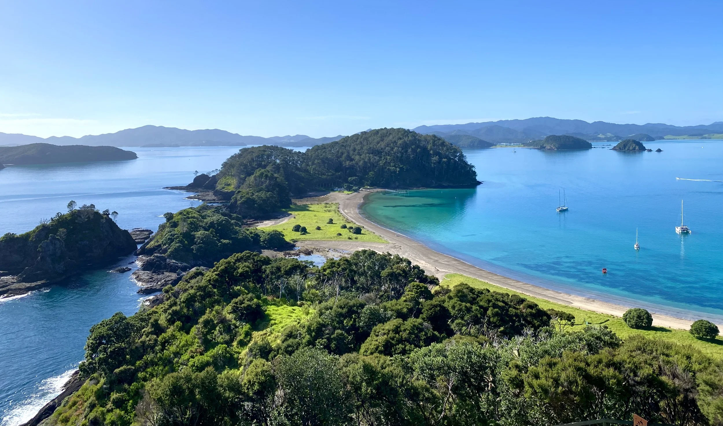 Z Roberton blue sky.jpeg