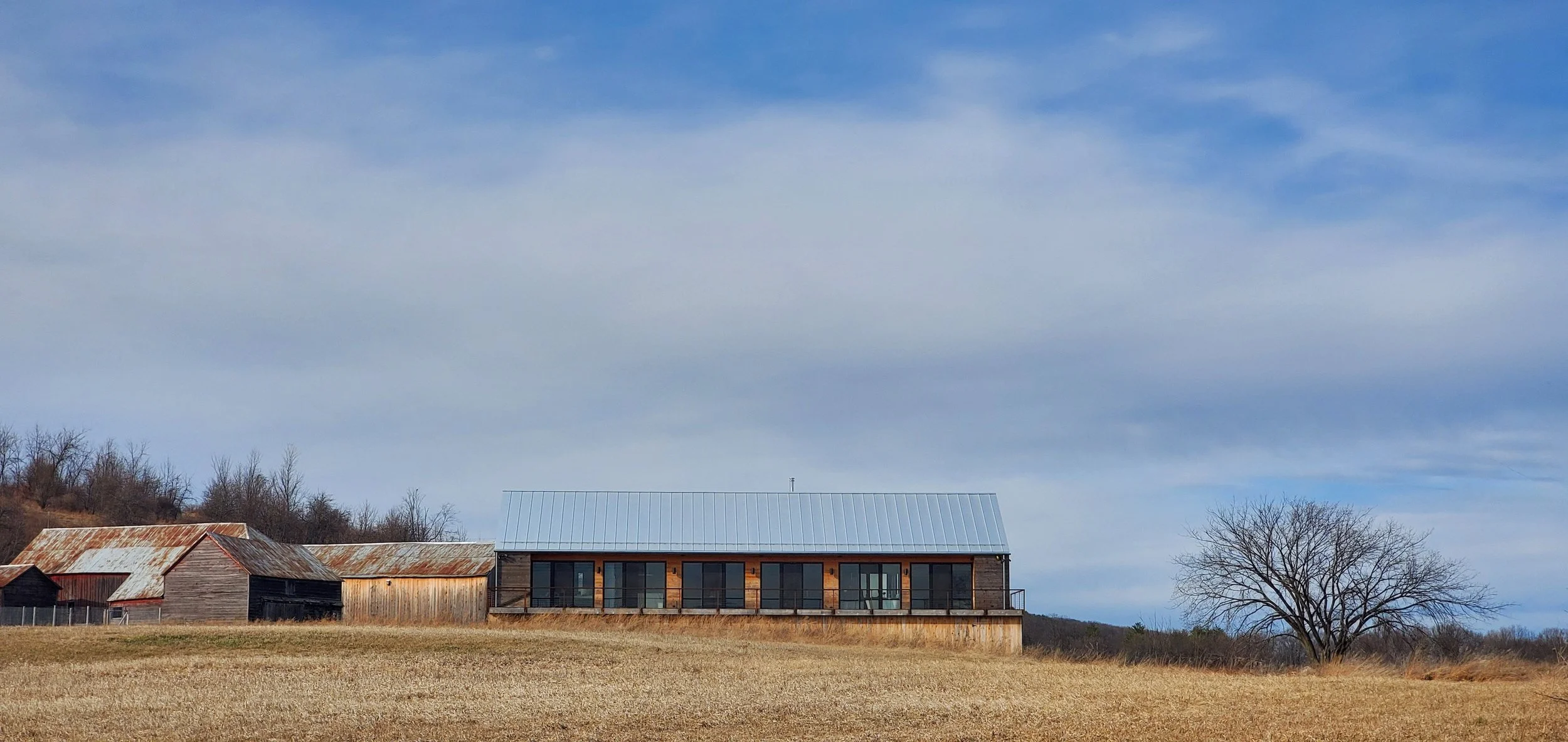 Medusa exterior image in late autumn.