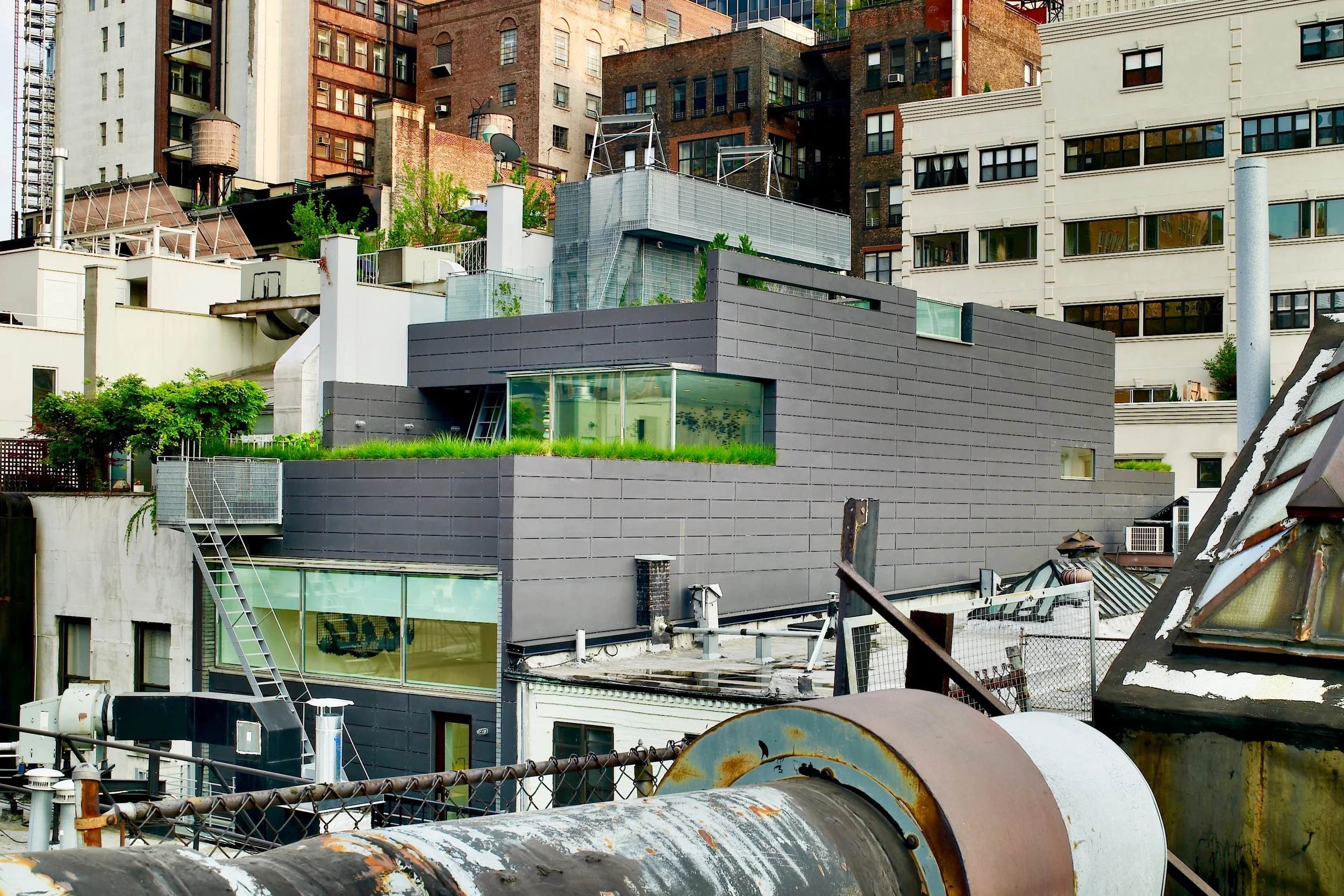 24 Warren Street exterior surrounded by city buildings and a patio of green grass.