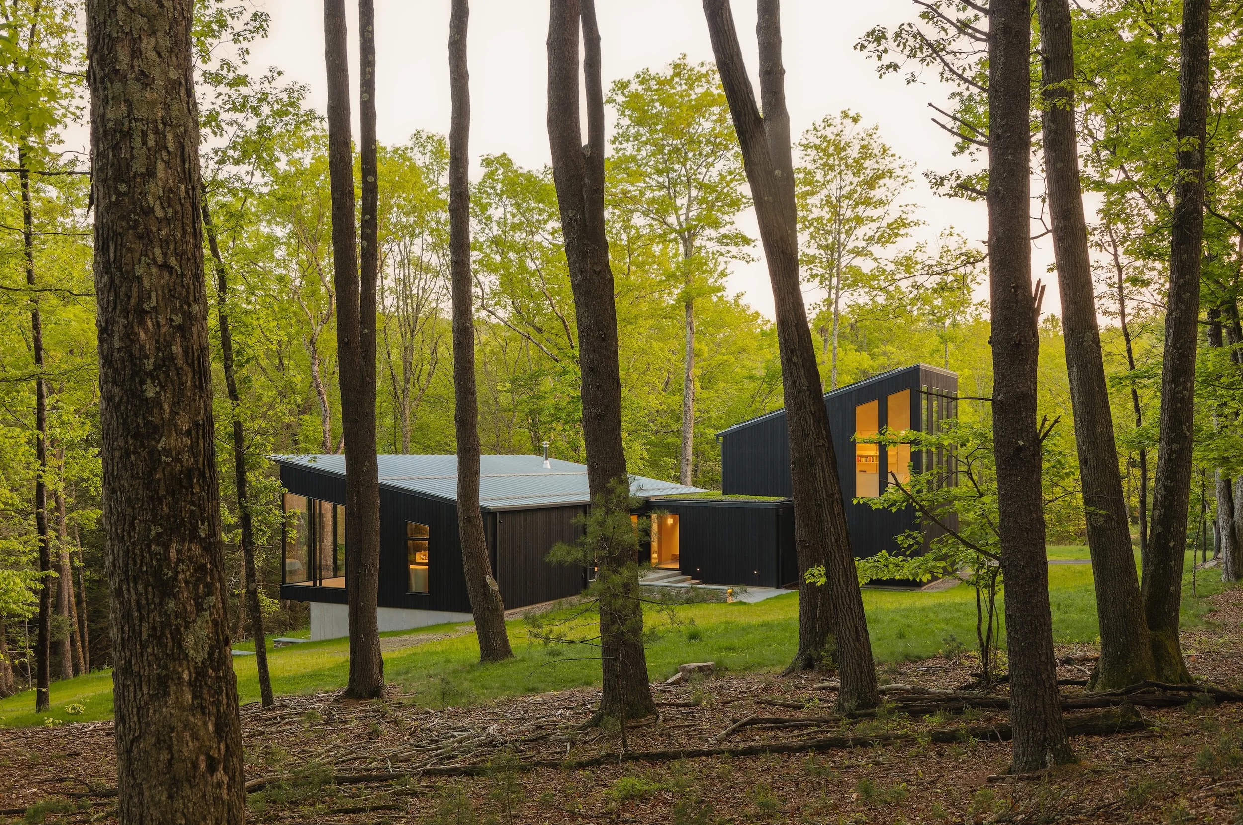 Lookout house exterior image surrounded by trees.