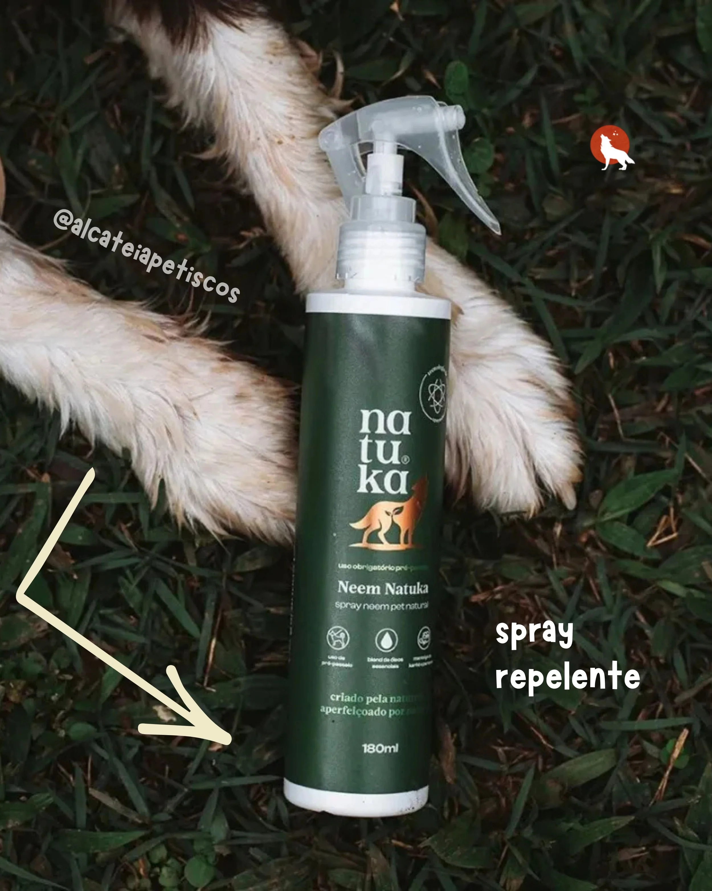 referencias de imagens e conteudos para o feed alcateia (2).jpg