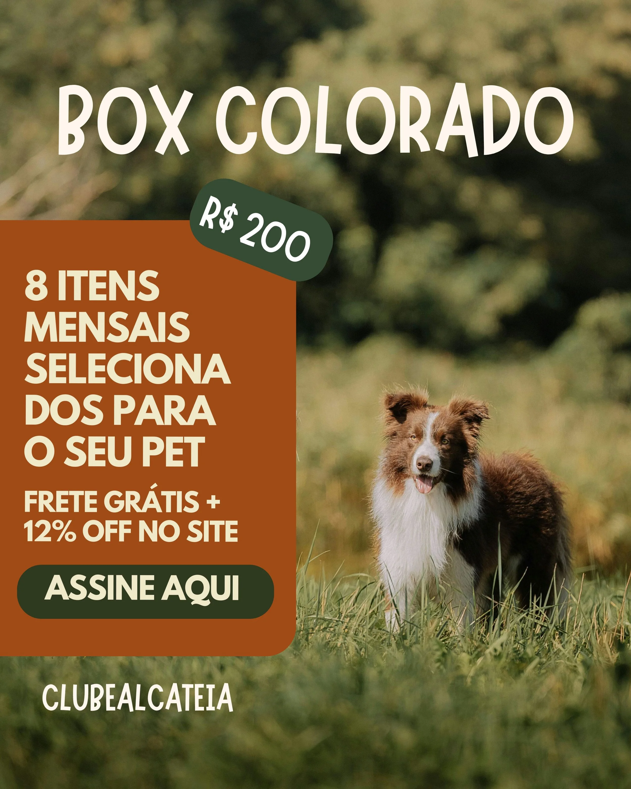 referencias de imagens e conteudos para o feed alcateia.jpg