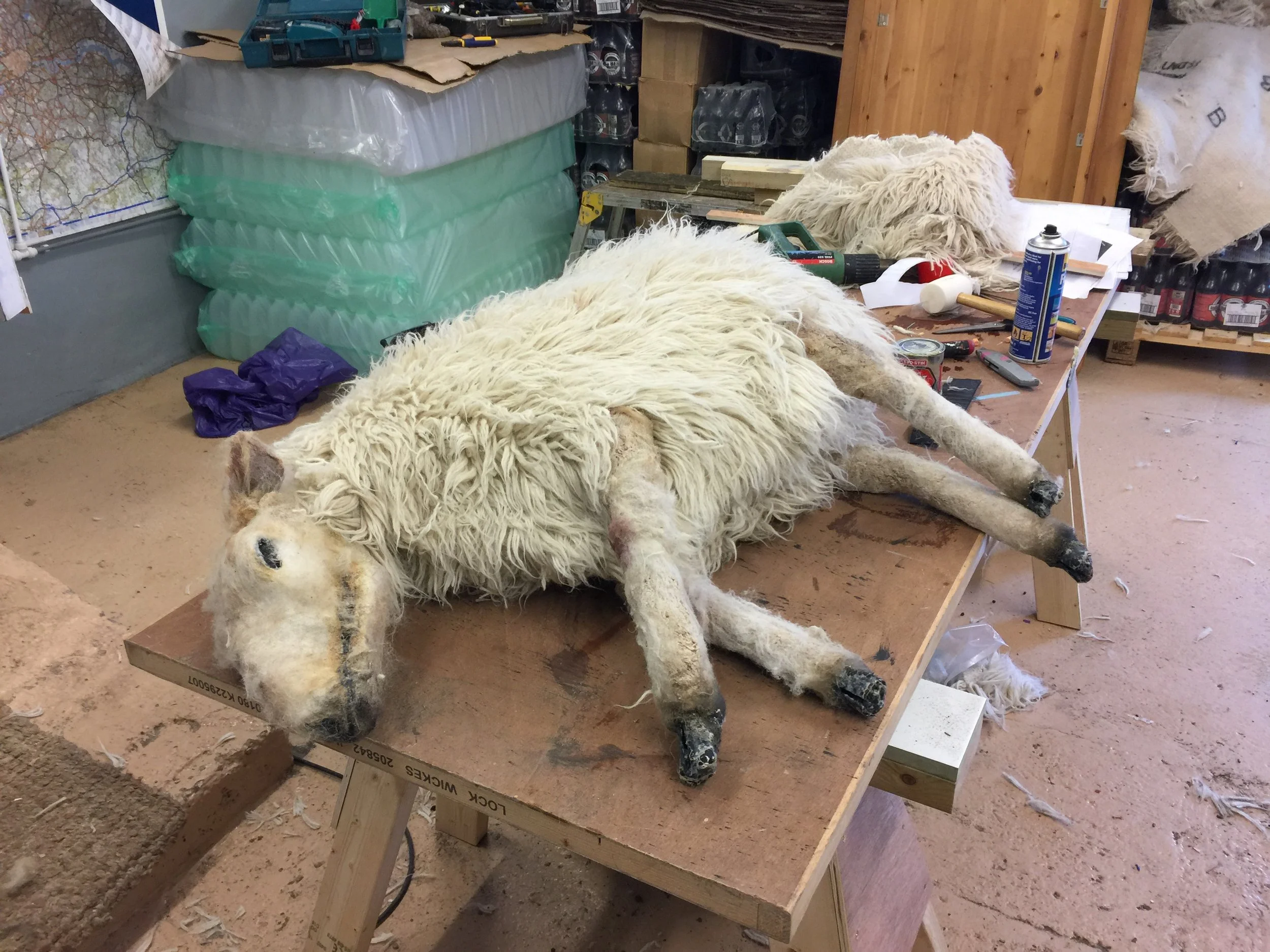 A sheep lying on its side on a workbench inside a workshop, surrounded by tools and supplies.