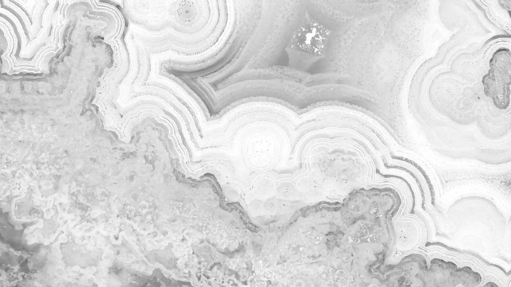 Close-up of a gray and white banded mineral or stone, showing intricate layered patterns and circular formations.