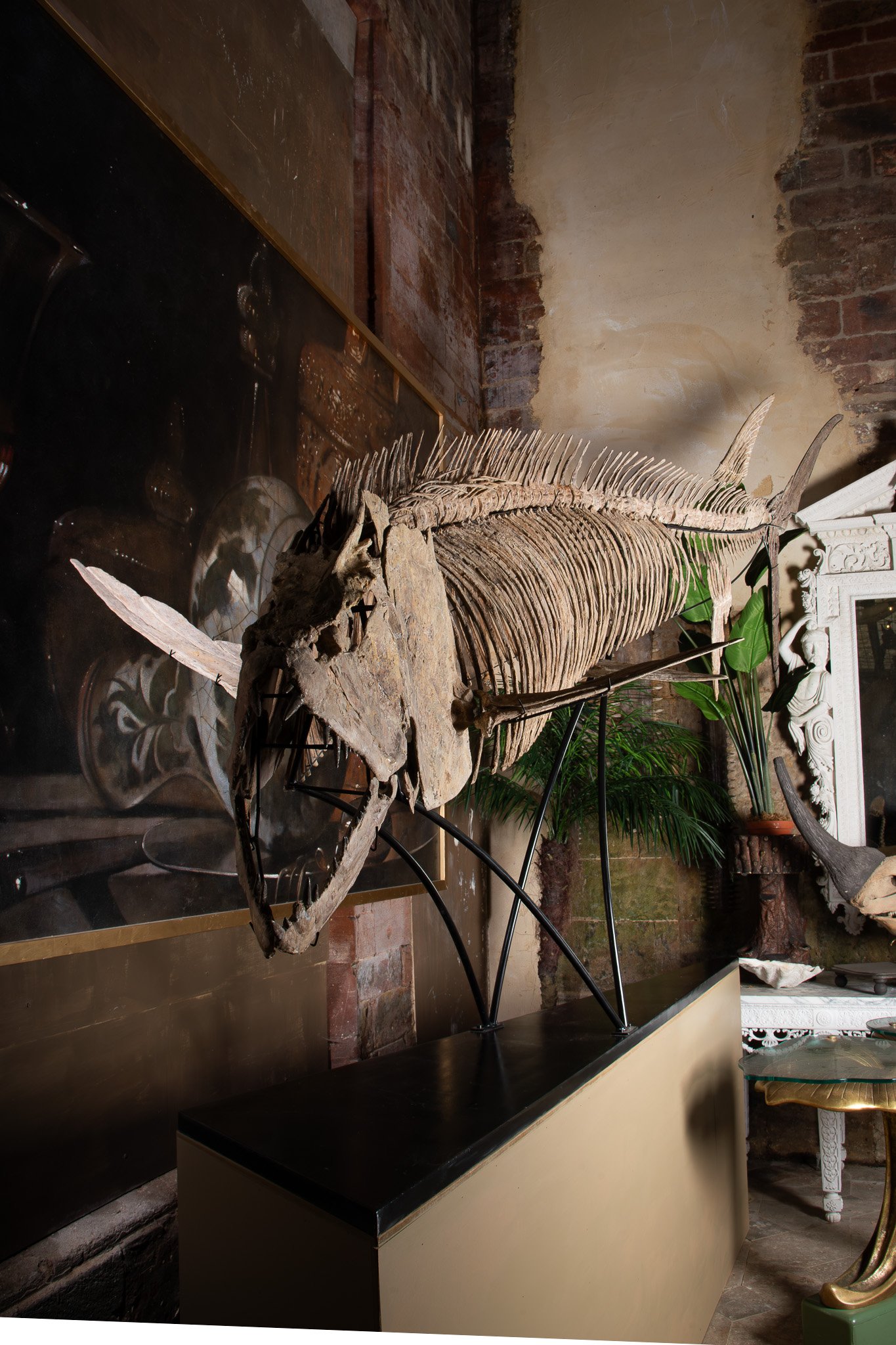 Parnham Park (16).jpg