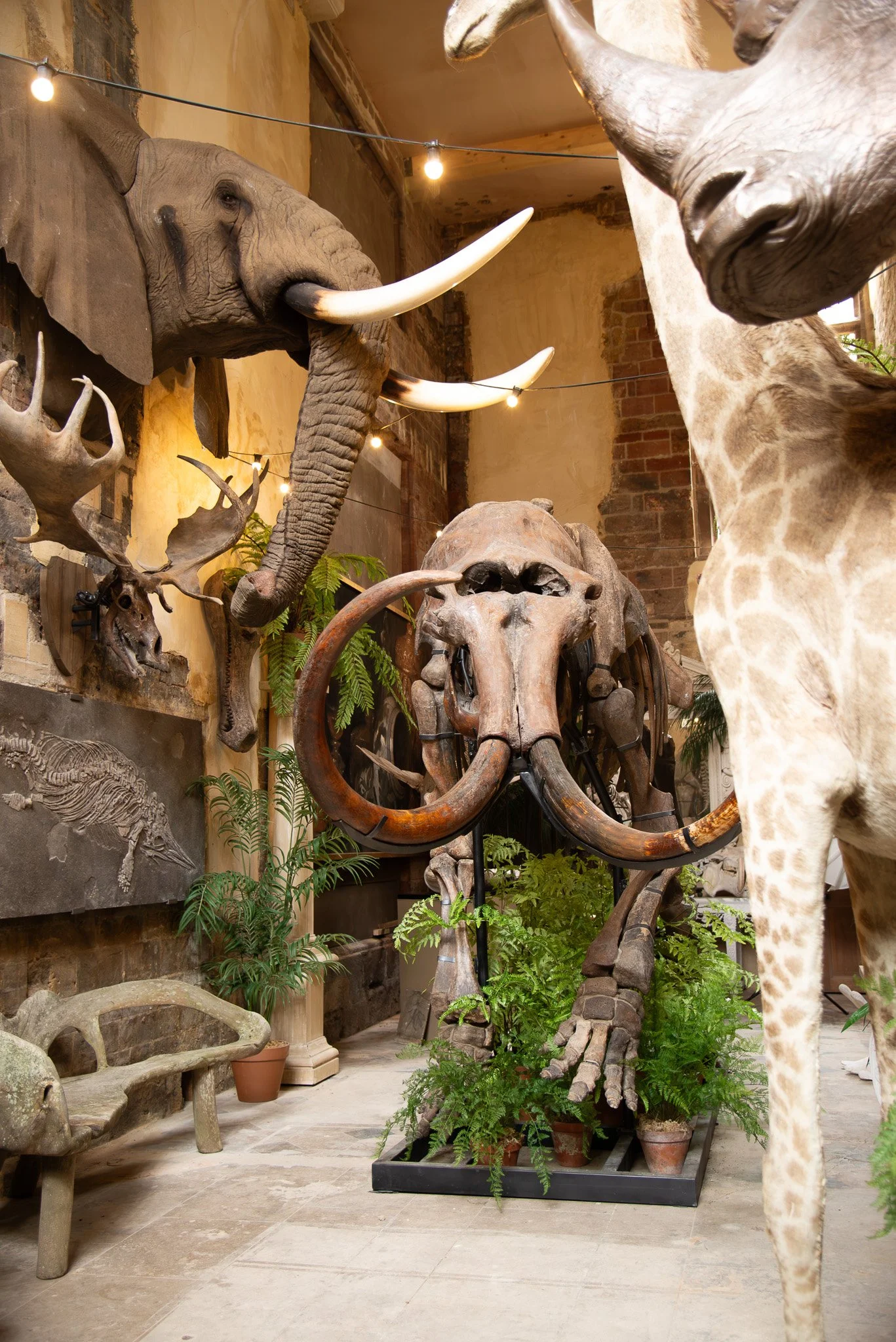 Parnham Park (7).jpg