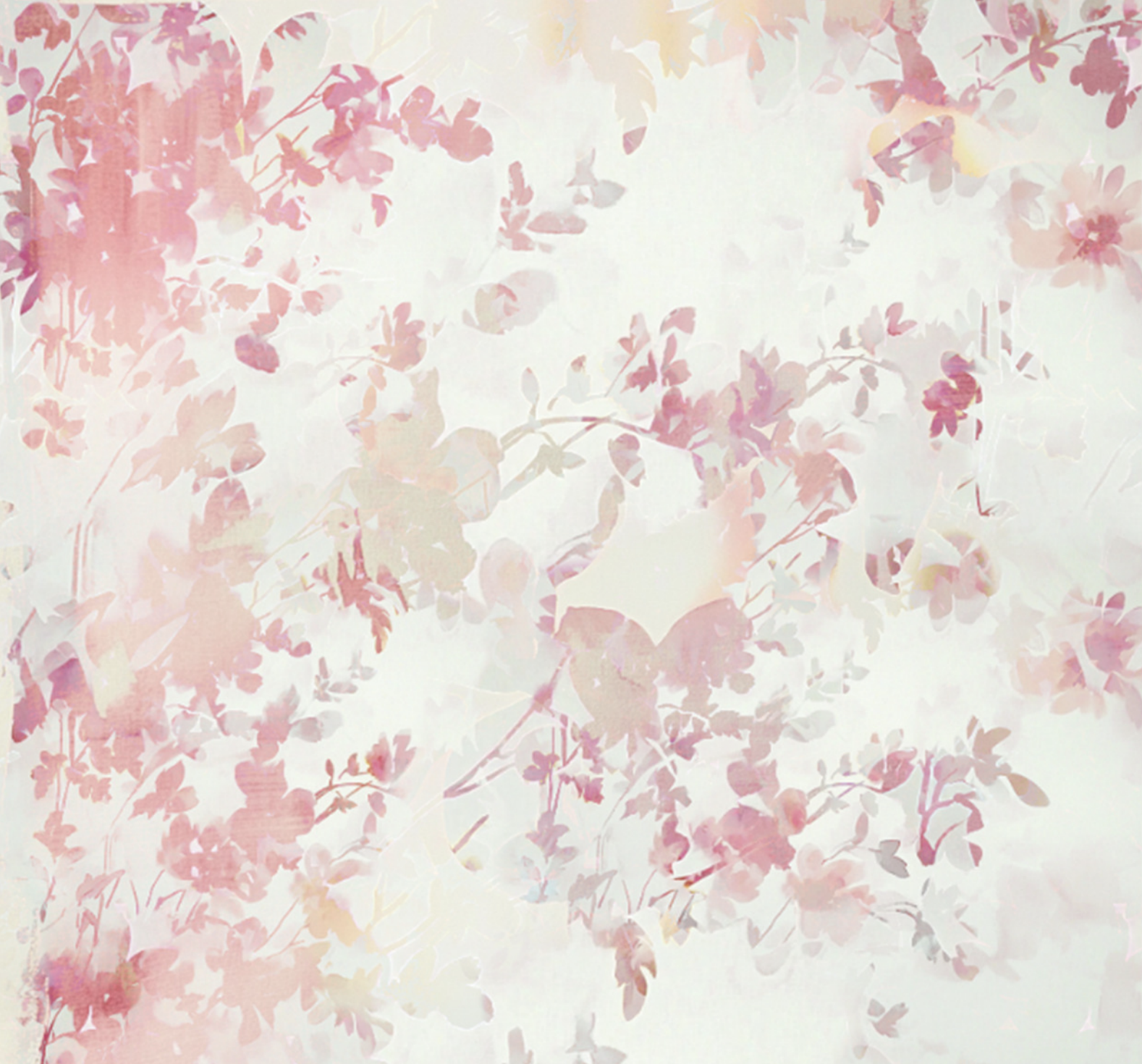 Screenshot 2025-01-13 at 3.07.10 PM.png