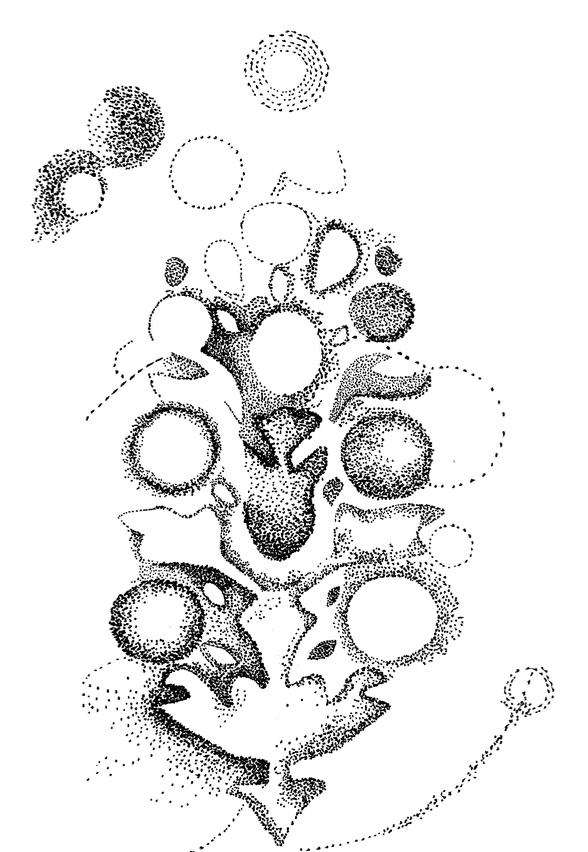 Screenshot 2025-01-28 at 9.54.05 AM.png