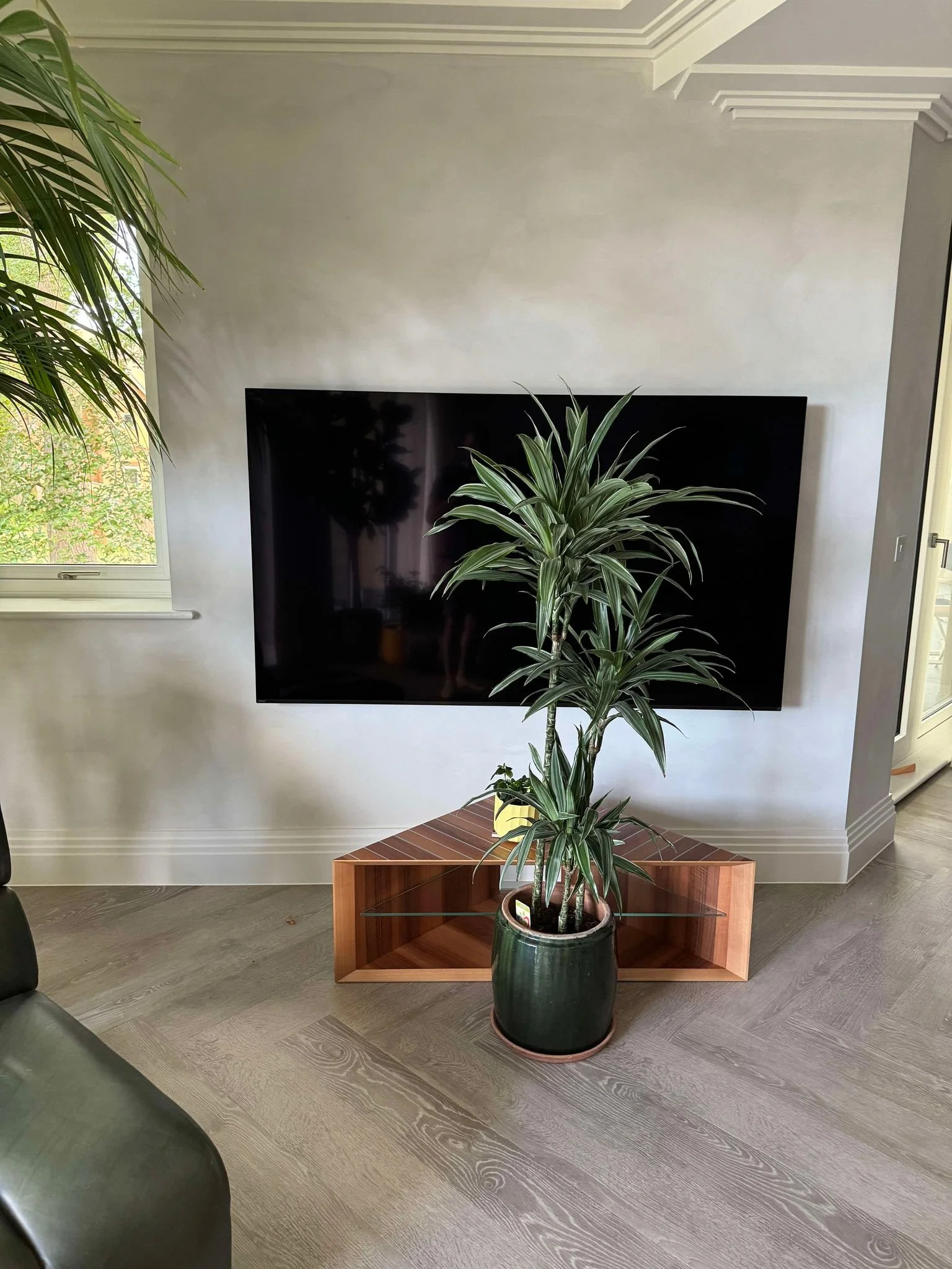 Indoor living room with a wall-mounted TV, a large potted plant in front, a wooden stand beneath the TV, a window with greenery outside, and part of a leather chair in the corner.