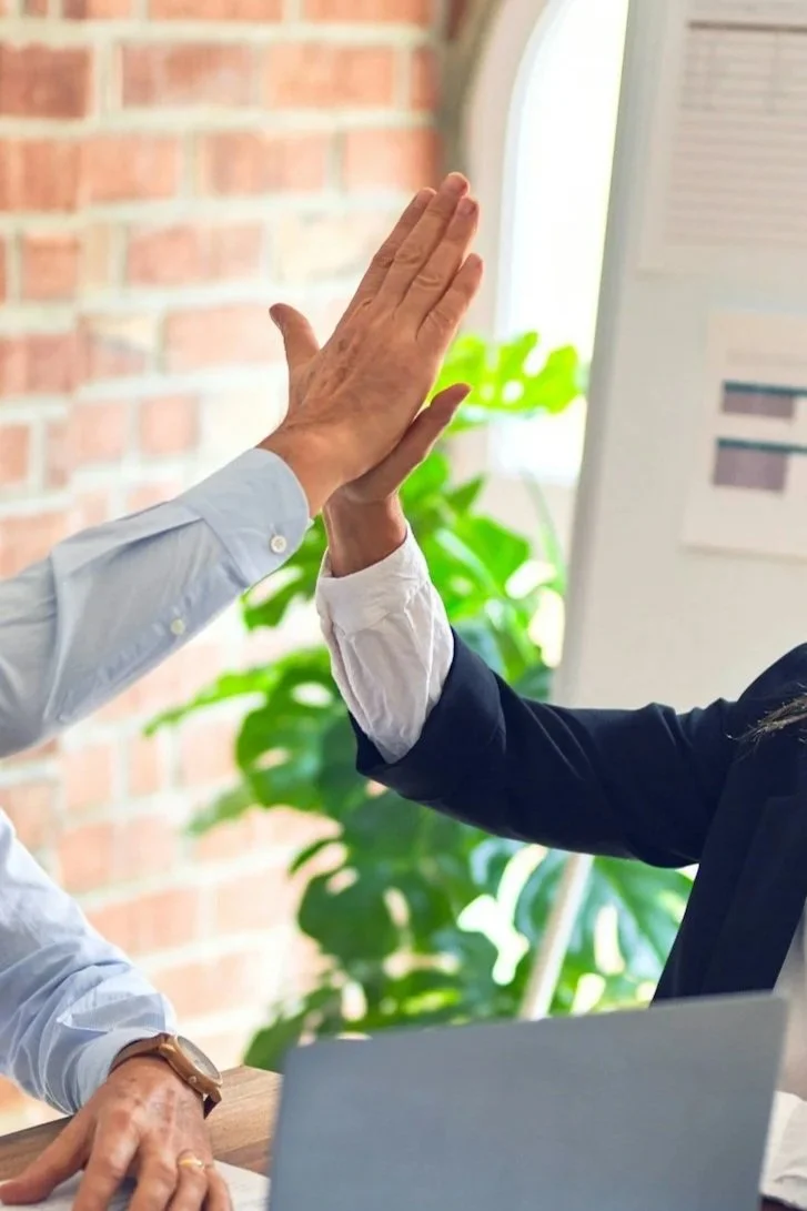 Two people giving each other a high-five in an office setting with a plant and window in the background. On TOGAR & Co.'s Real Estate Website.