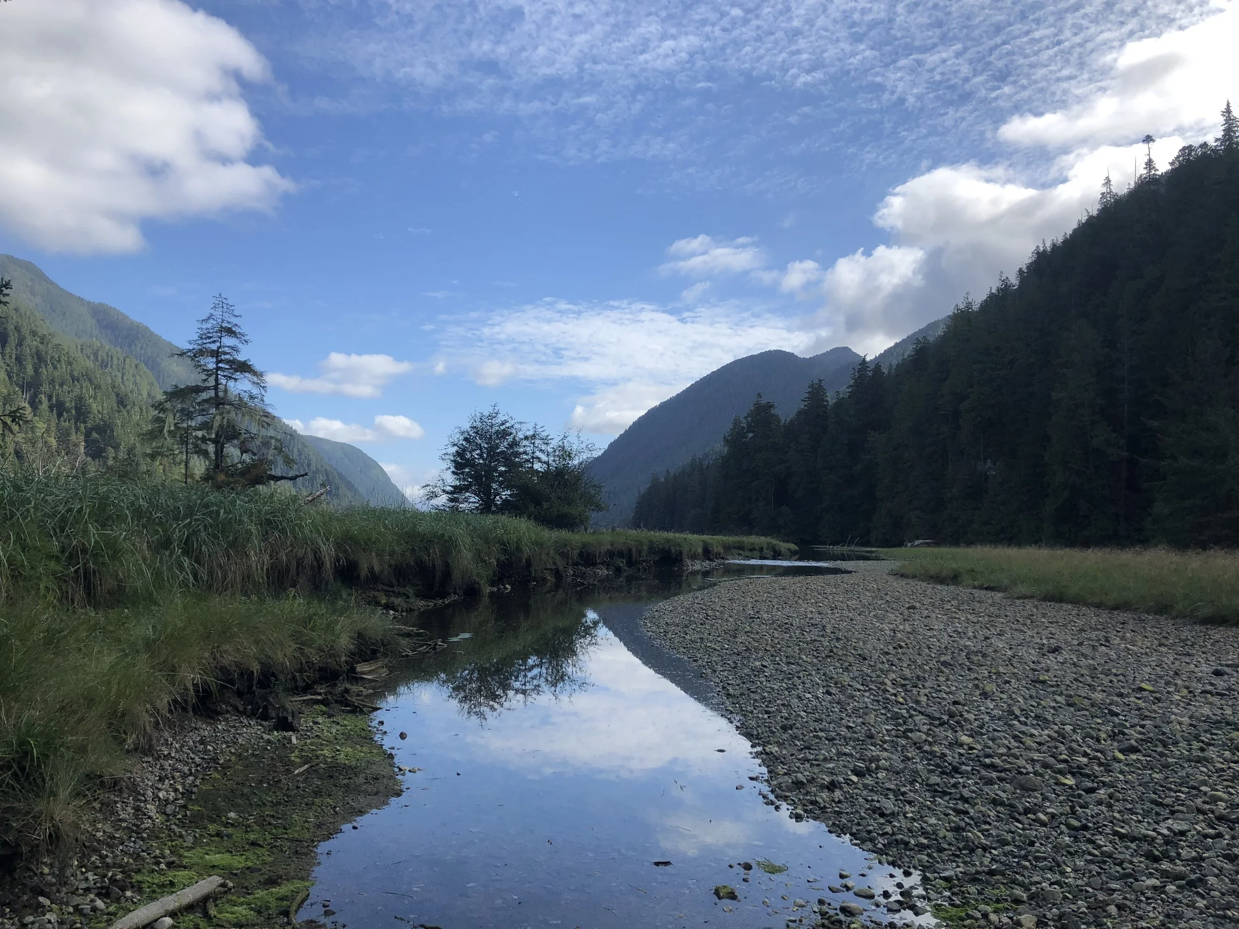 A scenic view of mountains covered with trees and a blue sky with scattered white clouds. In the foreground, a small stream reflects the sky and surrounding landscape, with grassy banks and rocky edges.