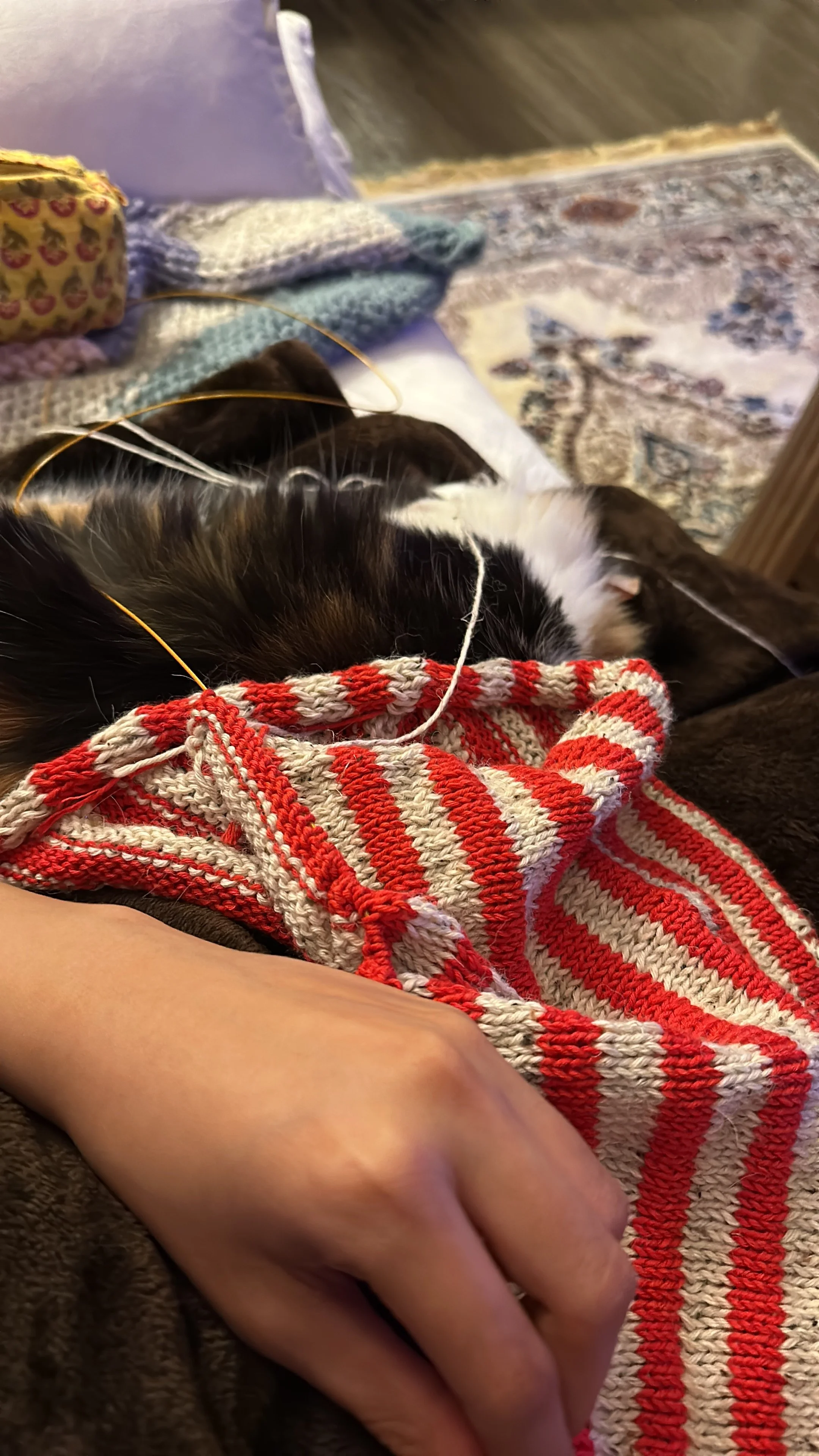 Olga Sweater 1.JPG