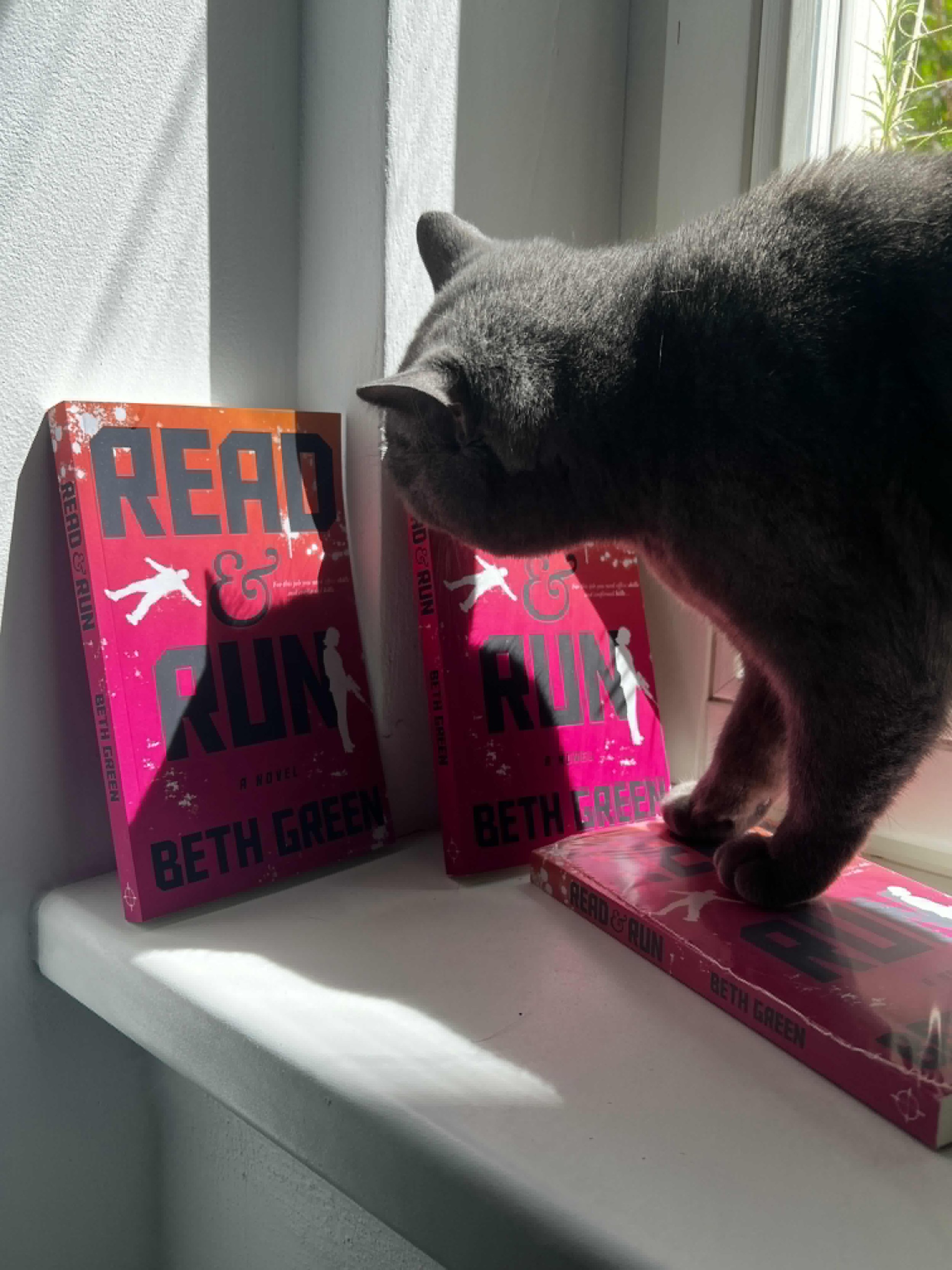 Guen has sniffed out something book-shaped and exciting!

The print version of Read and Run is aaalmost ready 😻📚

#crimefiction