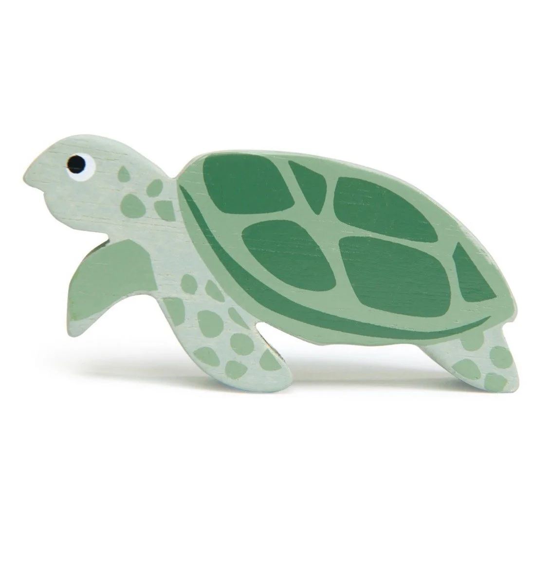 Coastal Animal - Sea Turtle