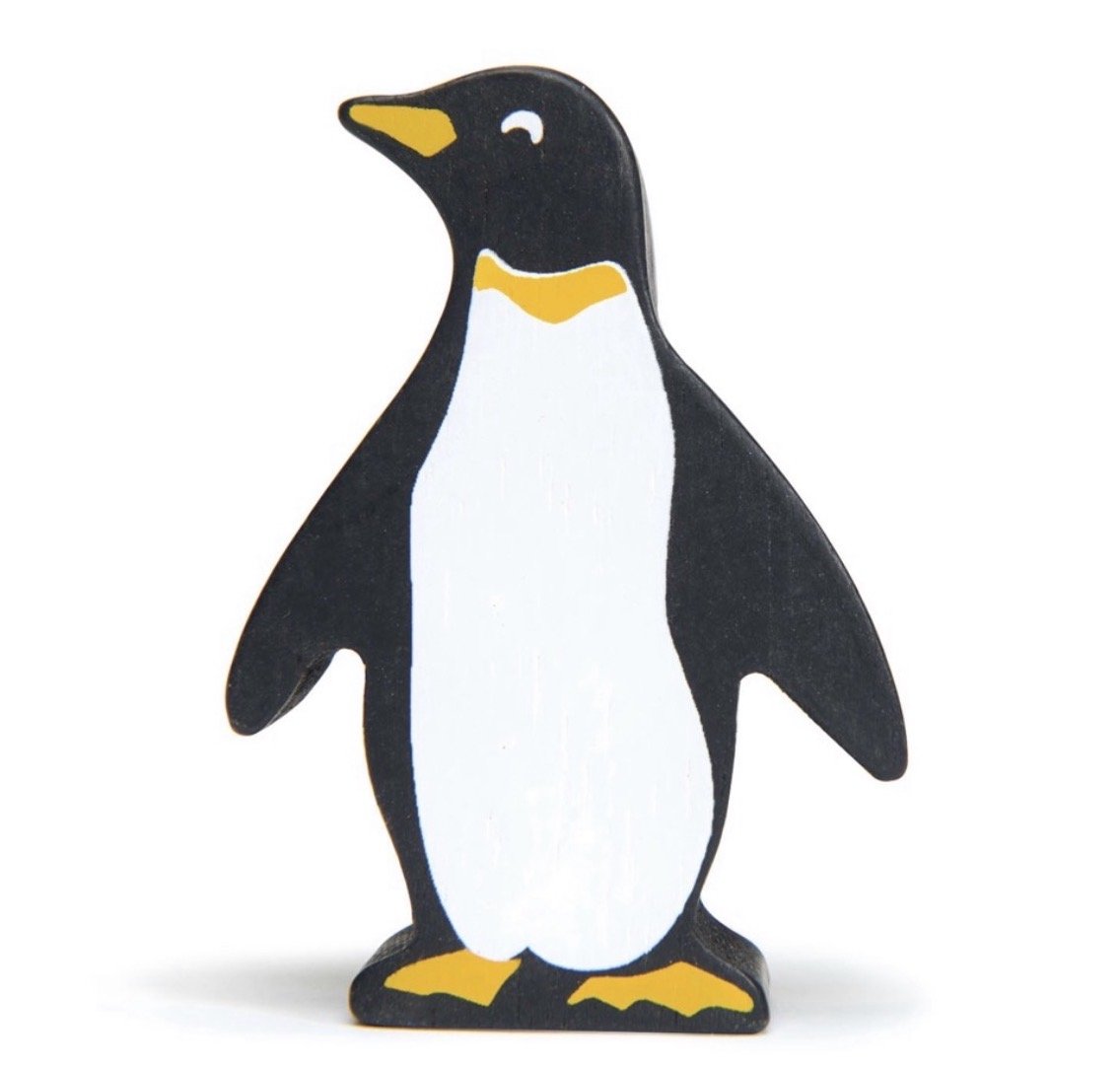 Coastal Animal - Penguin