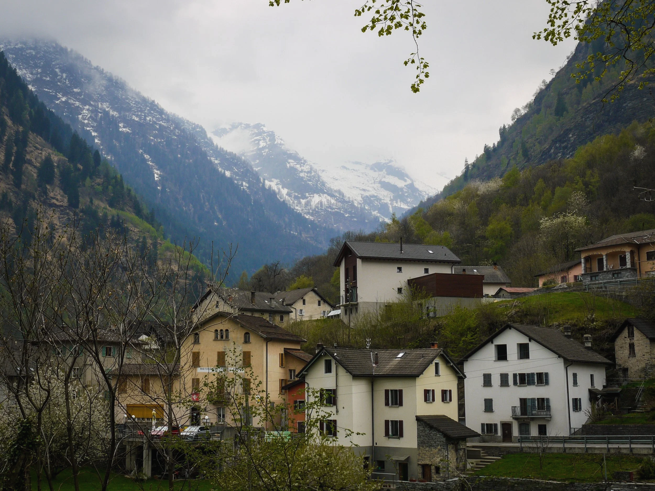 Chronico Landscapes