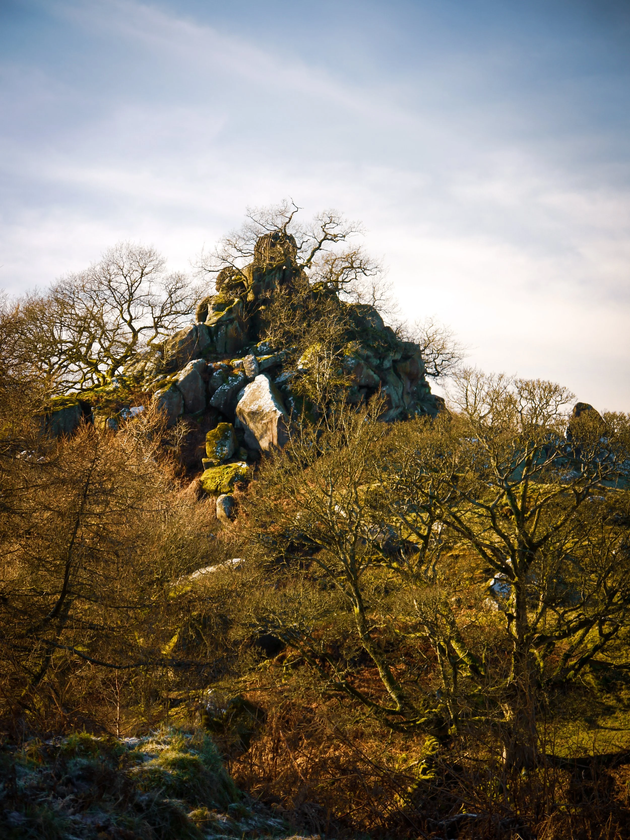 Robin Hood Stride in winters grasp with leafless trees on a partly cloudy sky.
