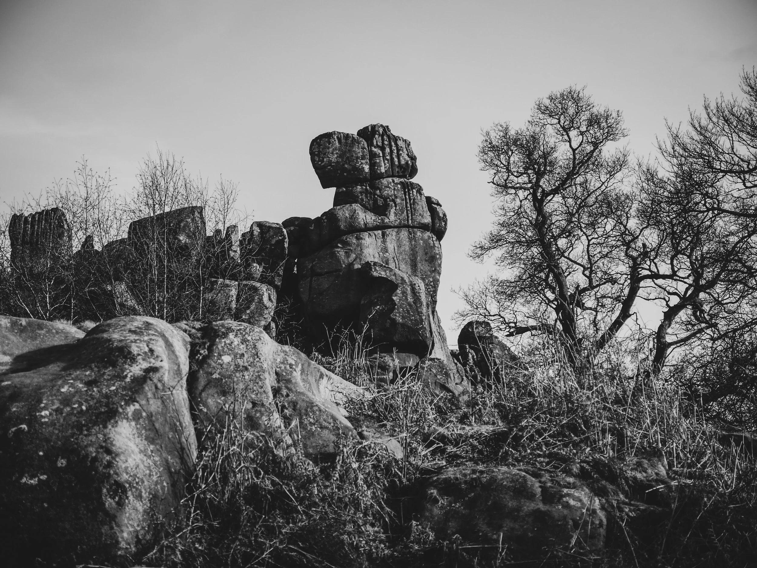 Black and white photo of large rock formations with sparse trees and dry grass in a natural landscape.