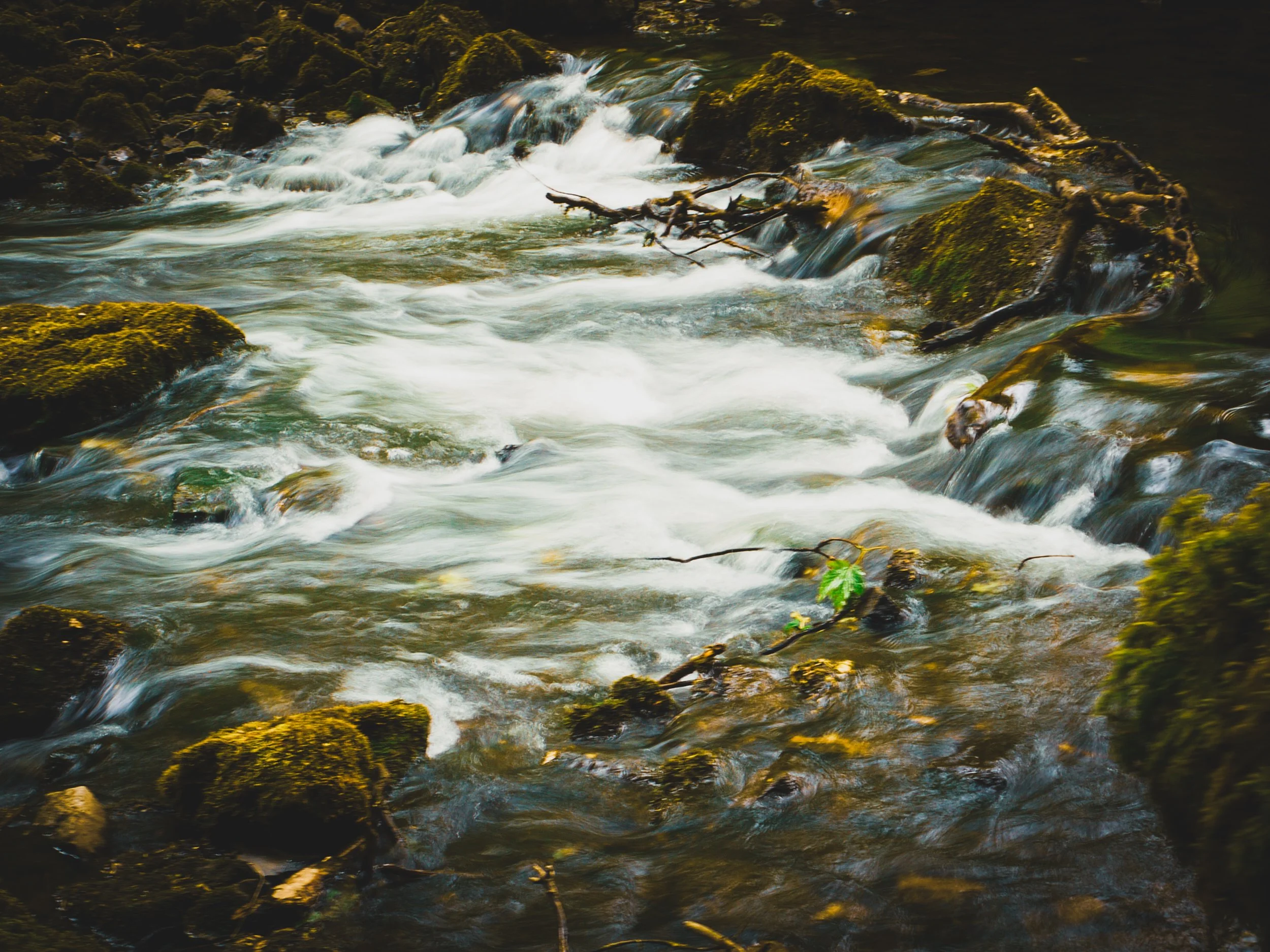 A flowing stream with clear water rushing over moss-covered rocks and small branches in a natural outdoor setting.