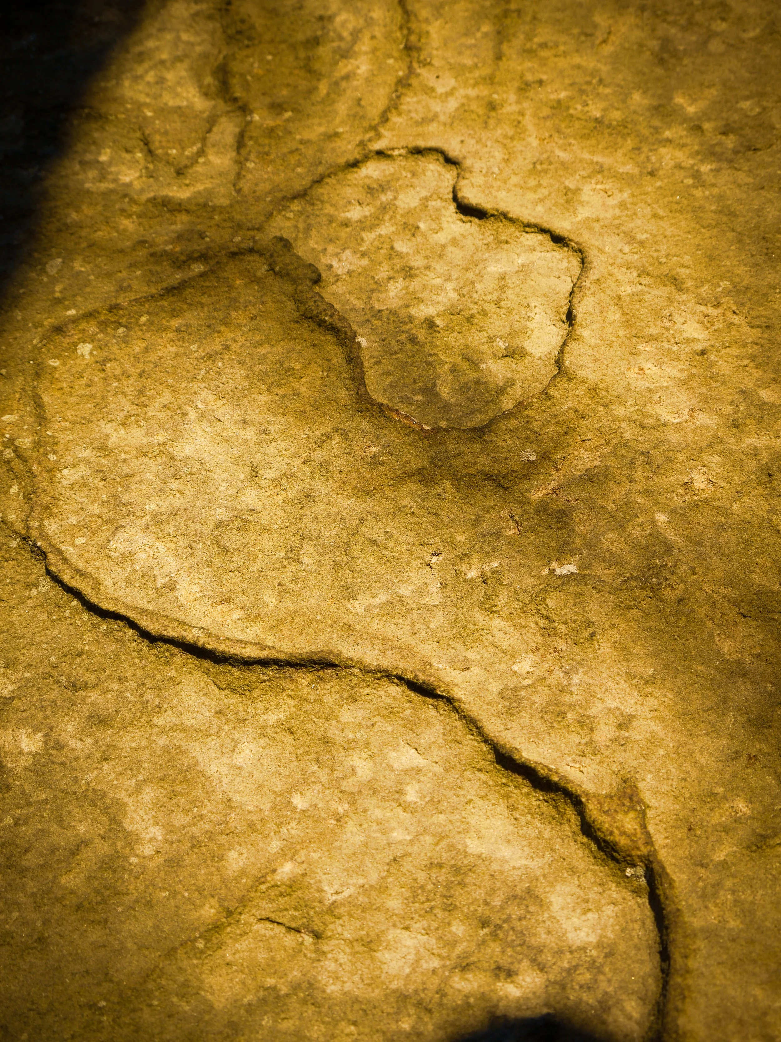 Close-up of a cracked dry, yellowish-brown soil surface.