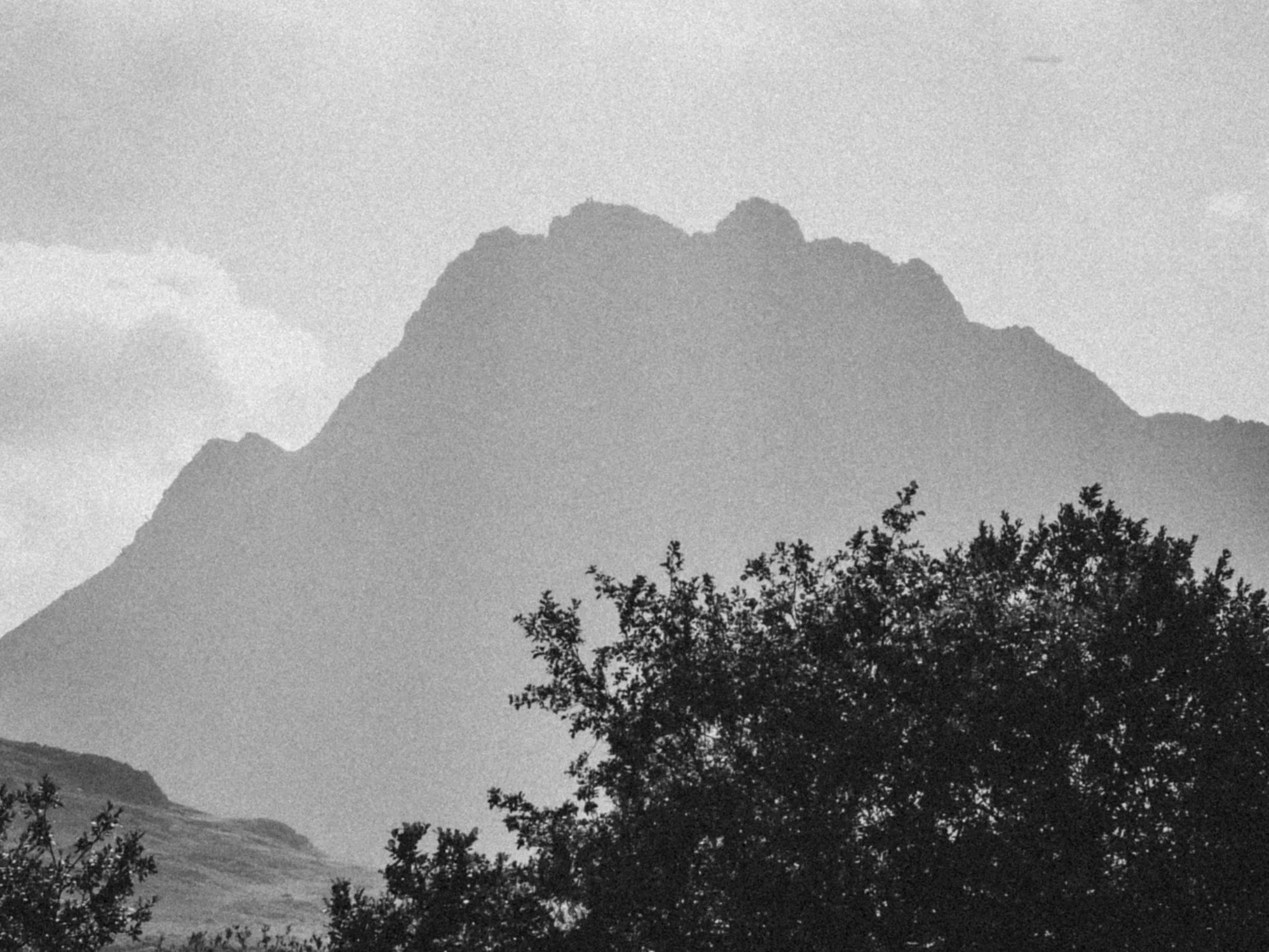 Black and white photo of a mountain with trees in the foreground.