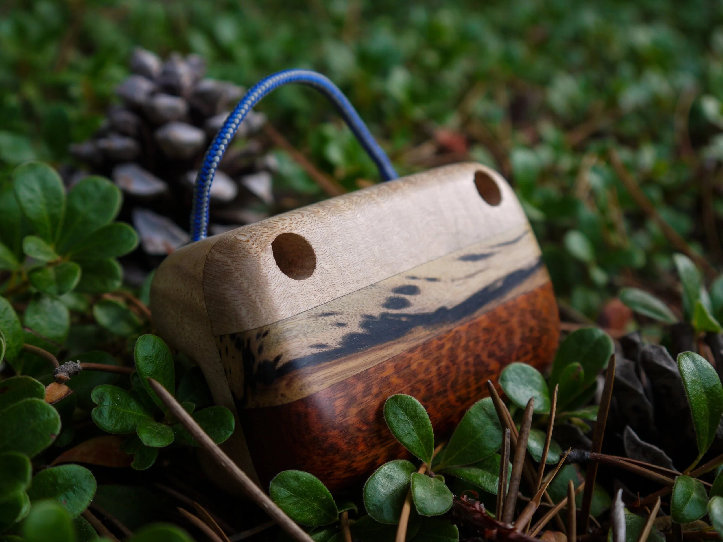 A wooden portable fingerboard on a bed of green leaves and a pine cone in the background.