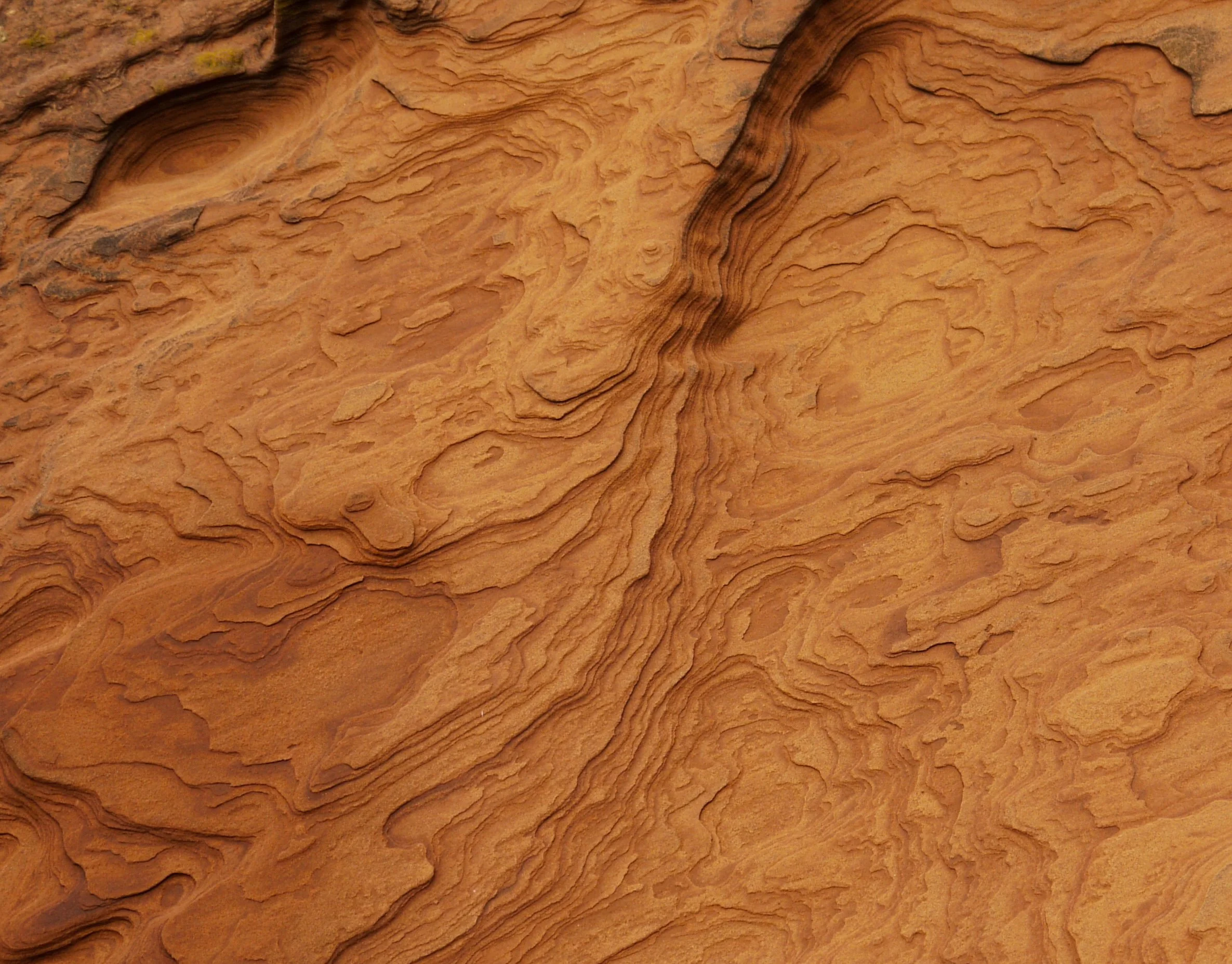 Close-up of layered red sandstone with natural striations and textures.