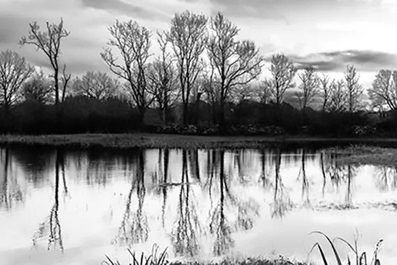 Reflections.
You wait for weeks watching the weather and then one day everything just aligns. There are clouds sunshine and reflections. The perfect setting for a photograph, just mind the brambles, the floods, the boggy ground, landscape photography