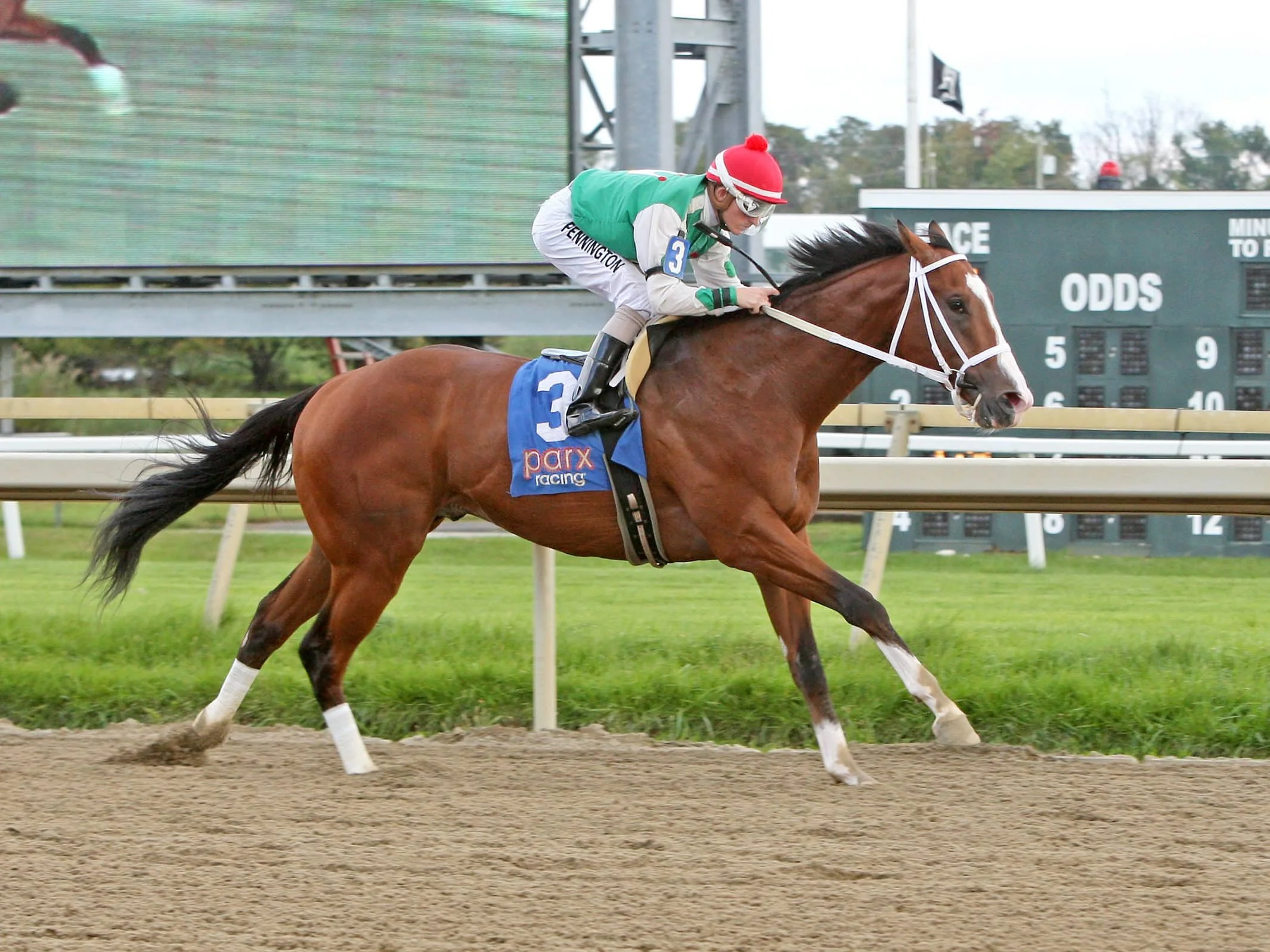 Maximus Mischief Wins Maiden