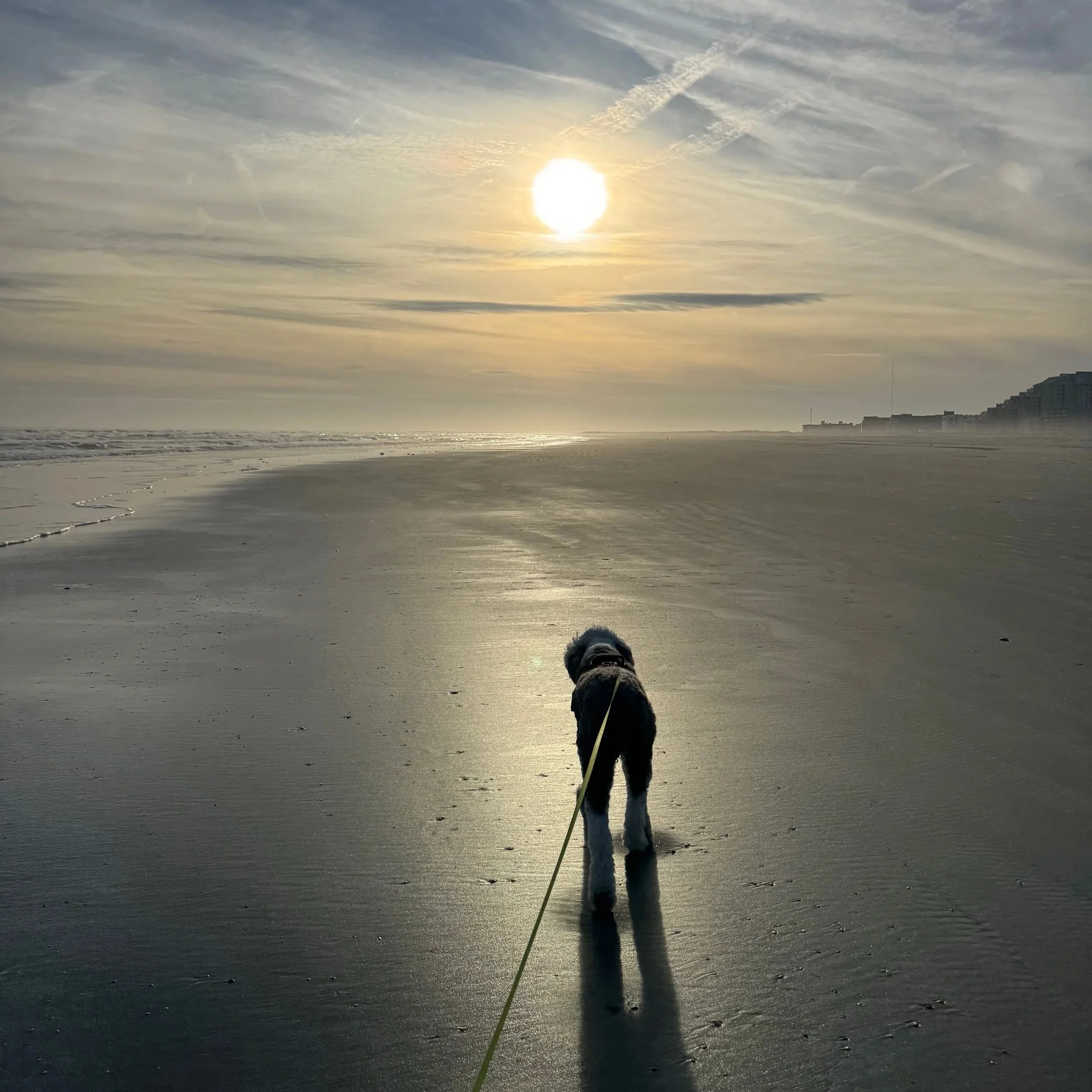 Winston and I on the beach - Dec 2025