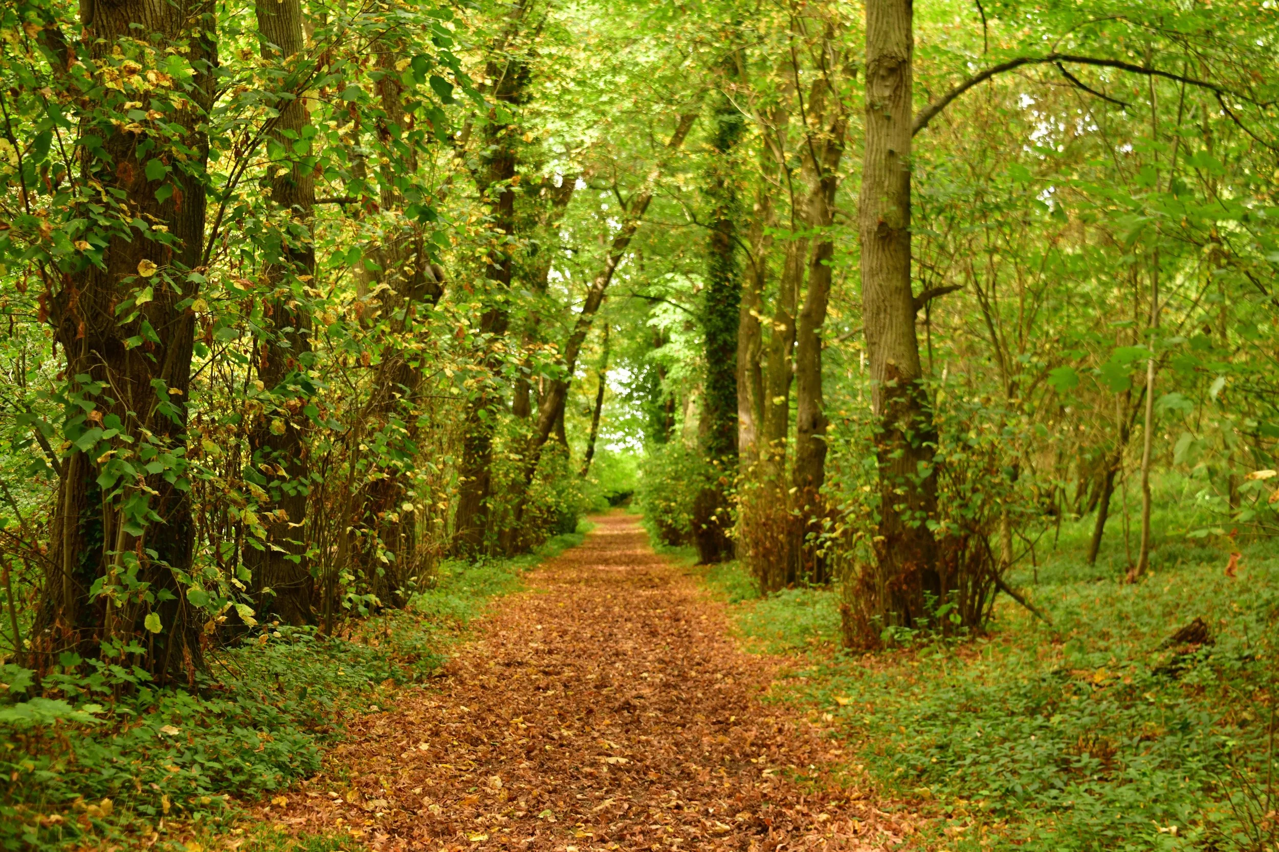 Somewhere in France - Oct 2025