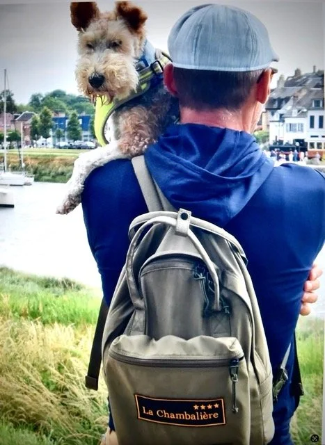 Tintin et Milou en vacances à Saint Valery-sur-Somme