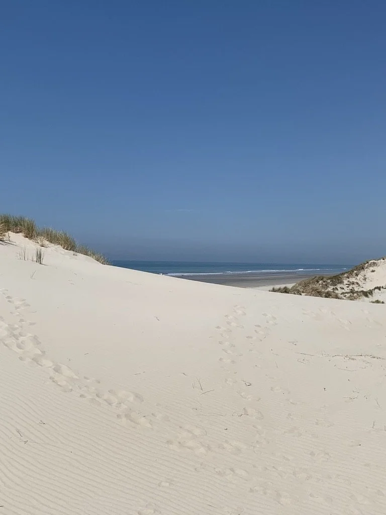 Les dunes au bout du chemin d'accès à la mer à Saint Quentin-en-Tourmont, sur la seule plage sauvage du Nord de la France