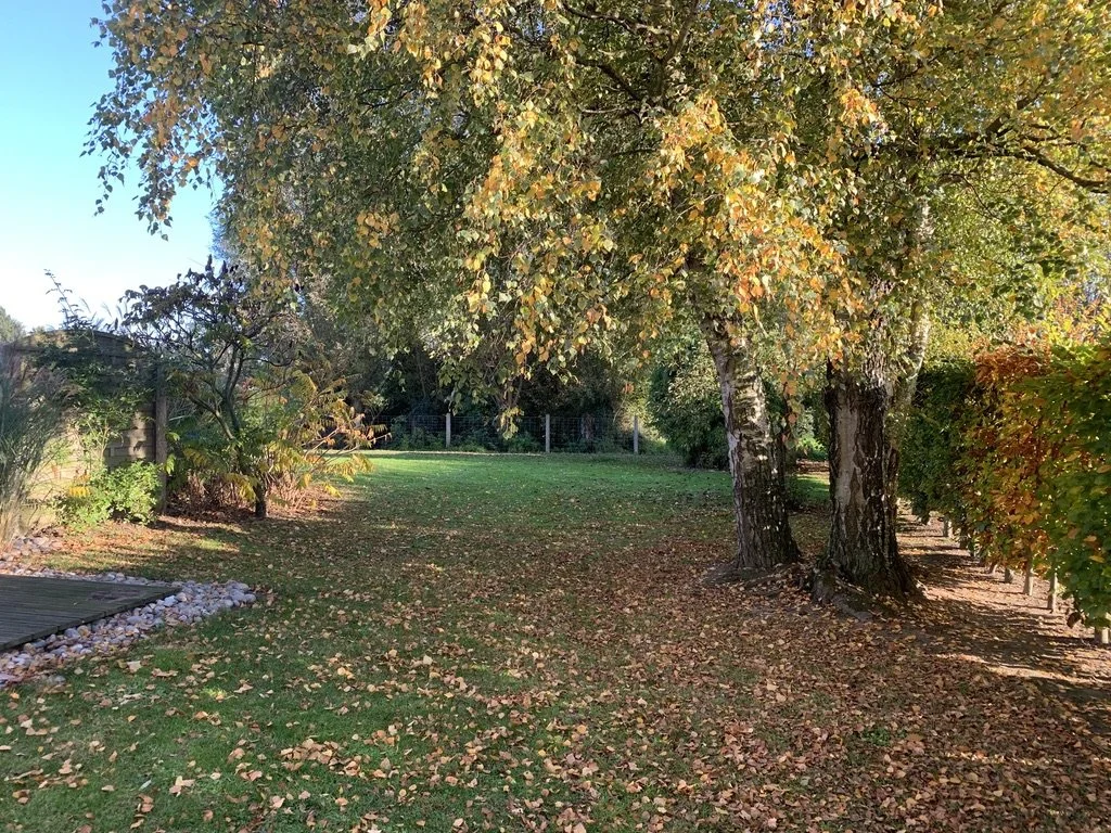 Le jardin en automne