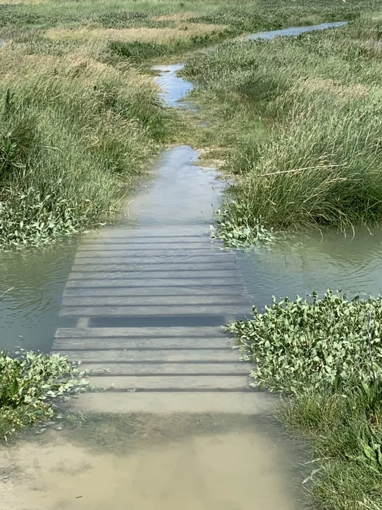 Petit pont en bois traversant un rio au Hourdel.