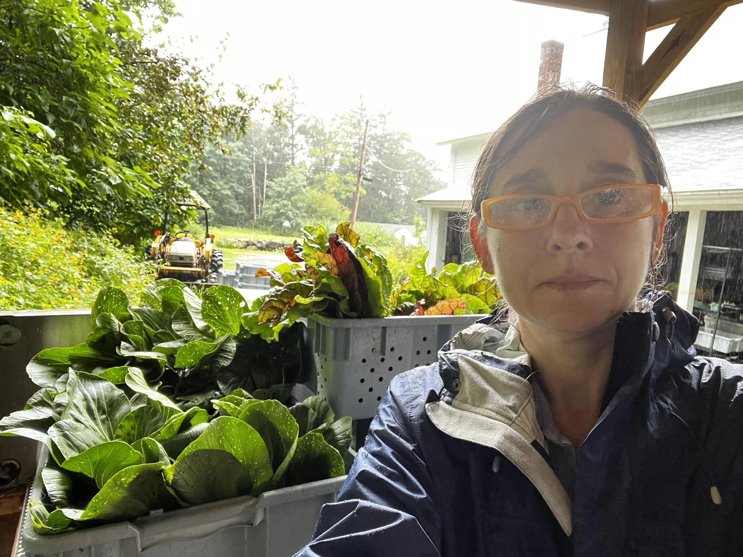 A woman wearing glasses and a waterproof jacket taking a selfie inside a porch or greenhouse during rainy weather, with green leafy plants and a tractor in the background.