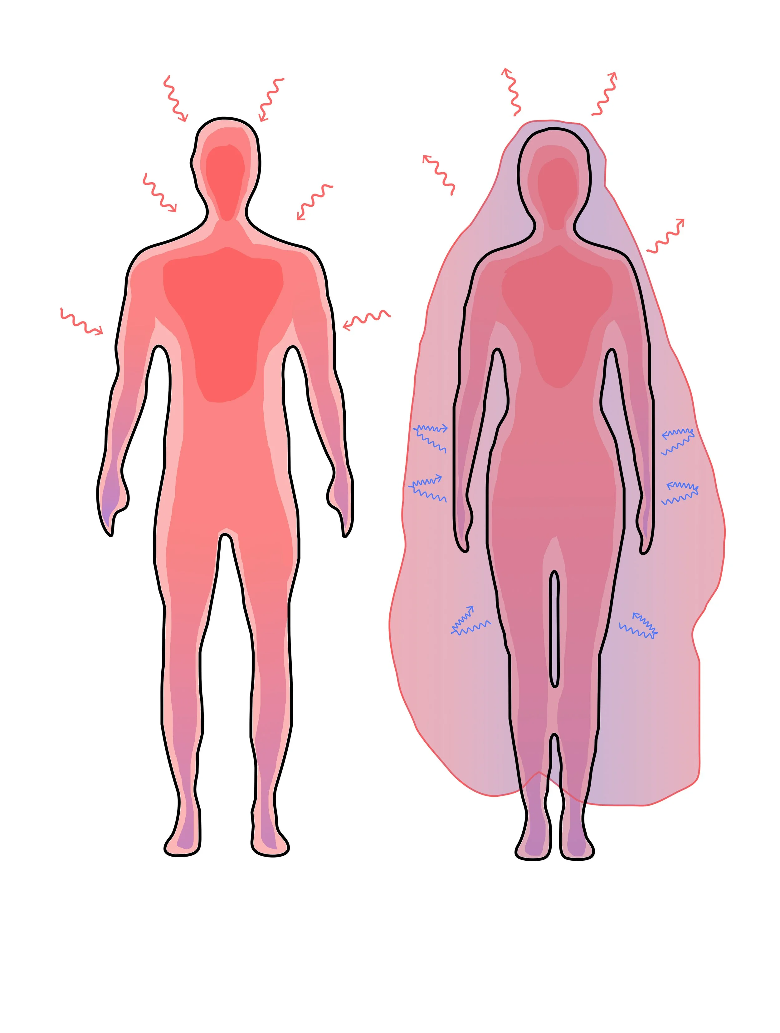 diagram terminado final.jpg