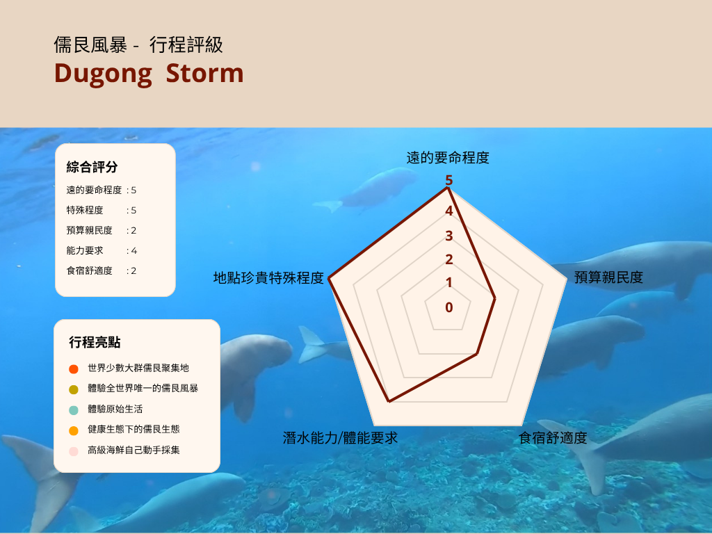 快速參考-行程評級雷達圖