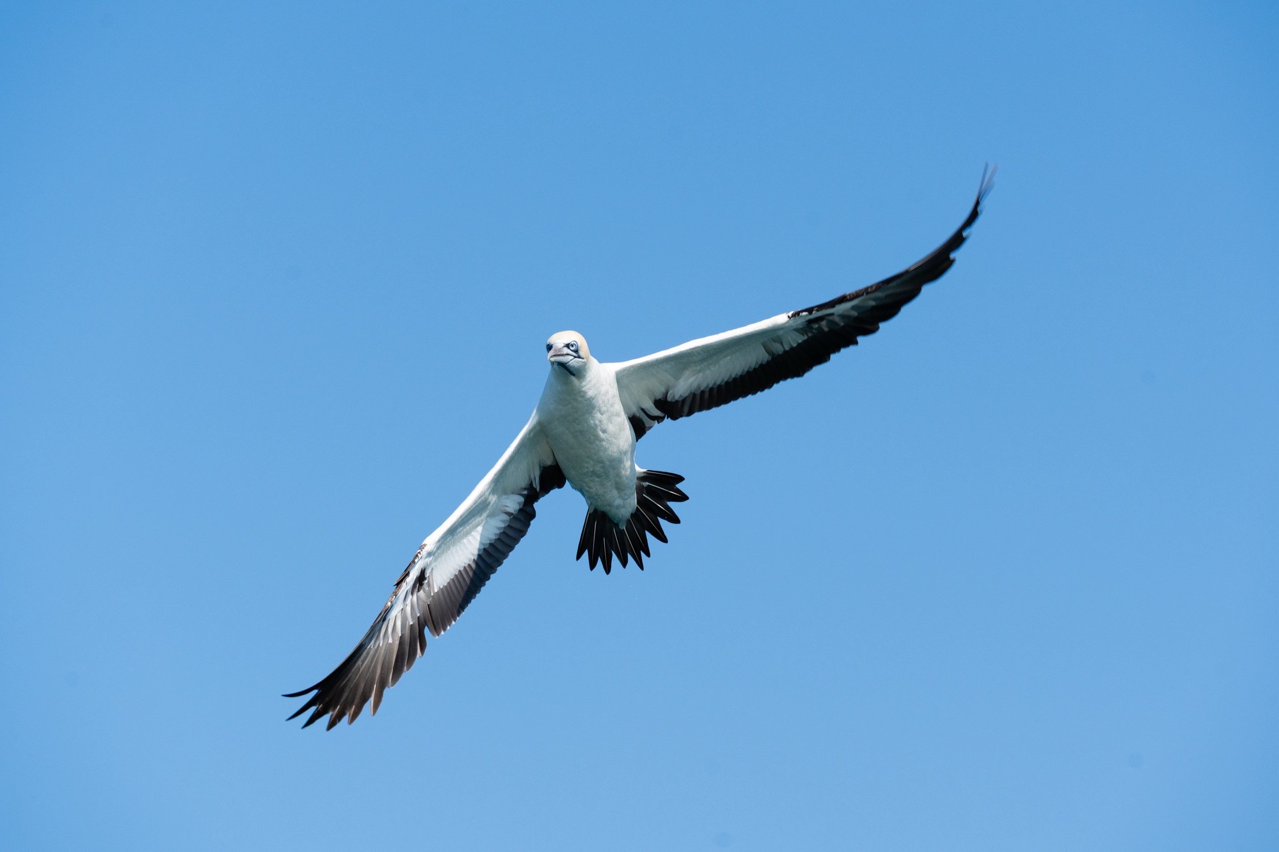 IMG_9901.JPG