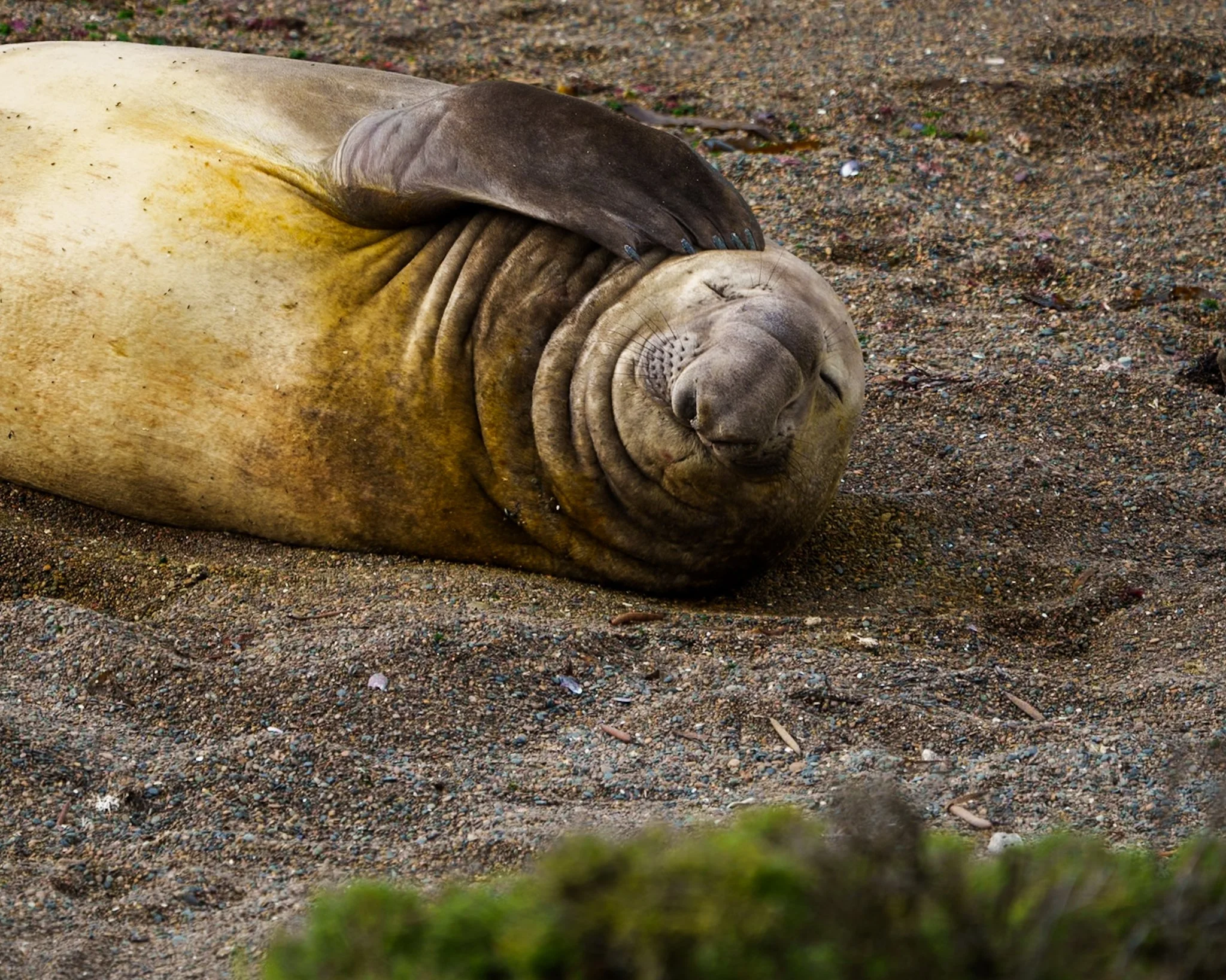 _DSC5861.jpg