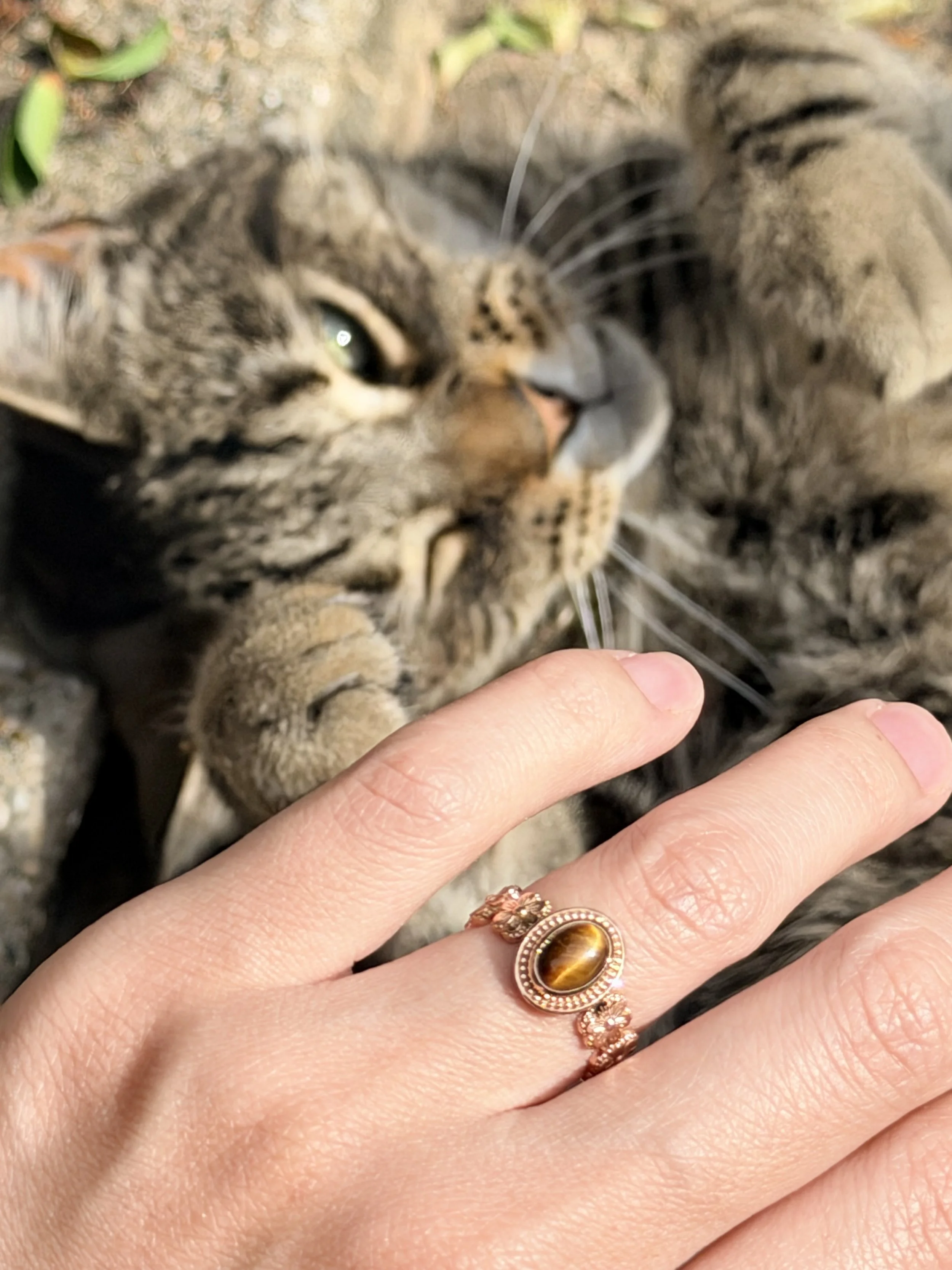 Wildflower Ring worn on hand — natural tiger's eye cabochon ring in 14K rose gold, handcrafted in London by Gugunava Jewelry