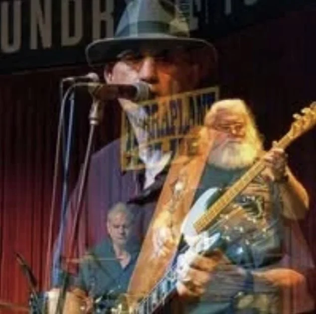 Terraplane Blue: Live Blues Rock                     