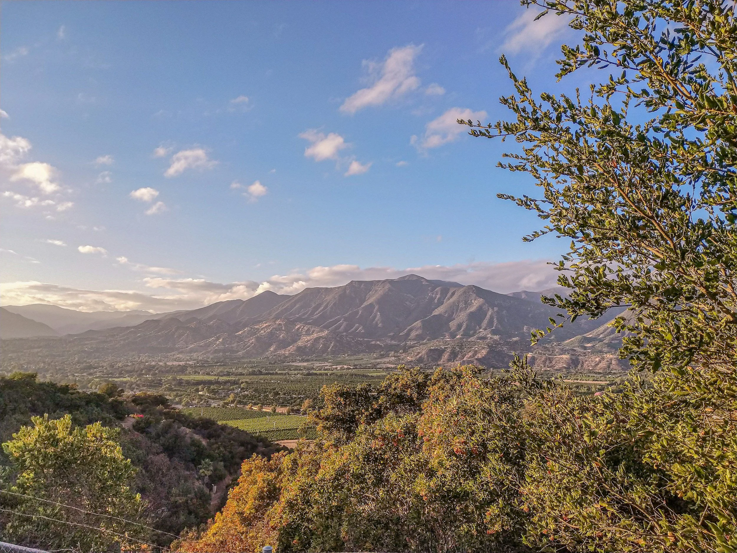 The Perfect 48 Hours in Ojai: The Ultimate Weekend Itinerary