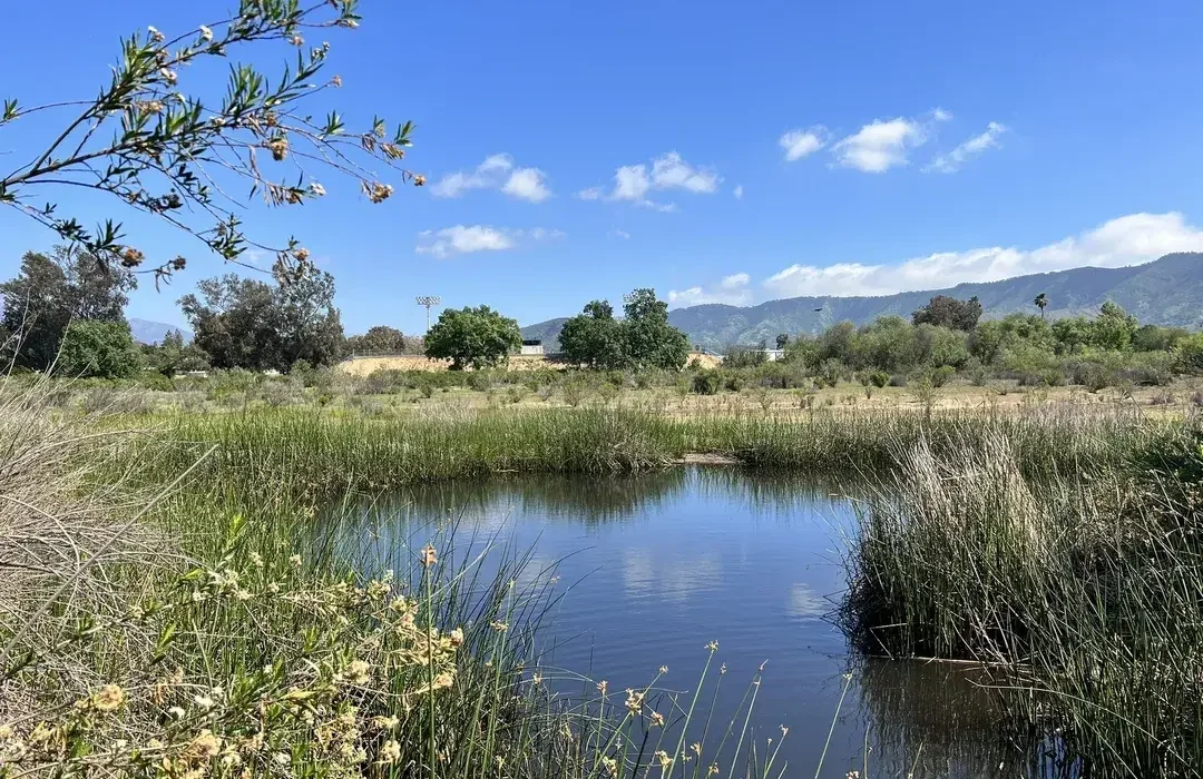 Ojai Meadows Preserve