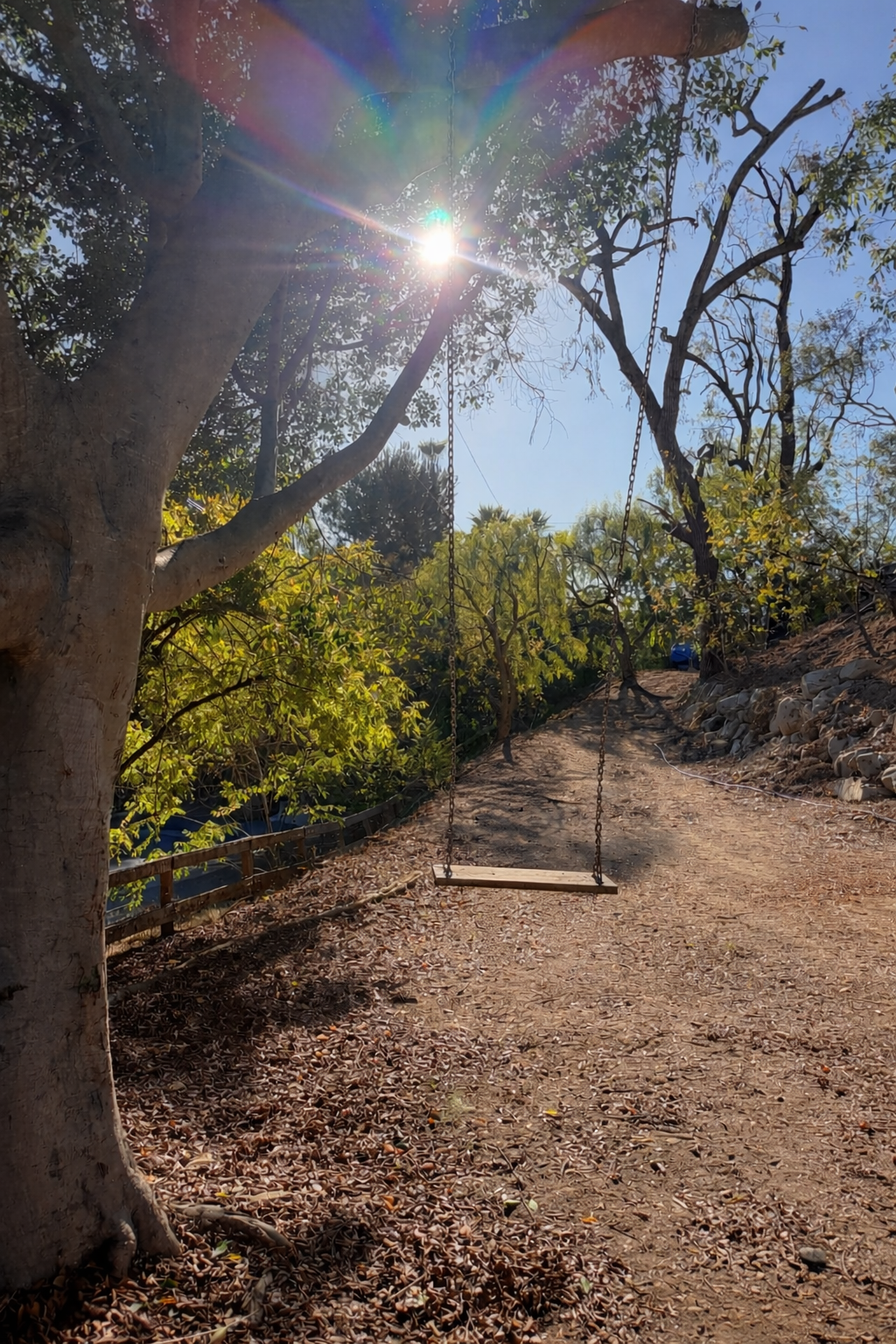 A wooden swing hangs from a tree in a sunlit outdoor scene. The sun shines brightly through the branches, creating a lens flare and rainbow lighting effects. The path below is covered with dry leaves and curves uphill with rocks on the side.