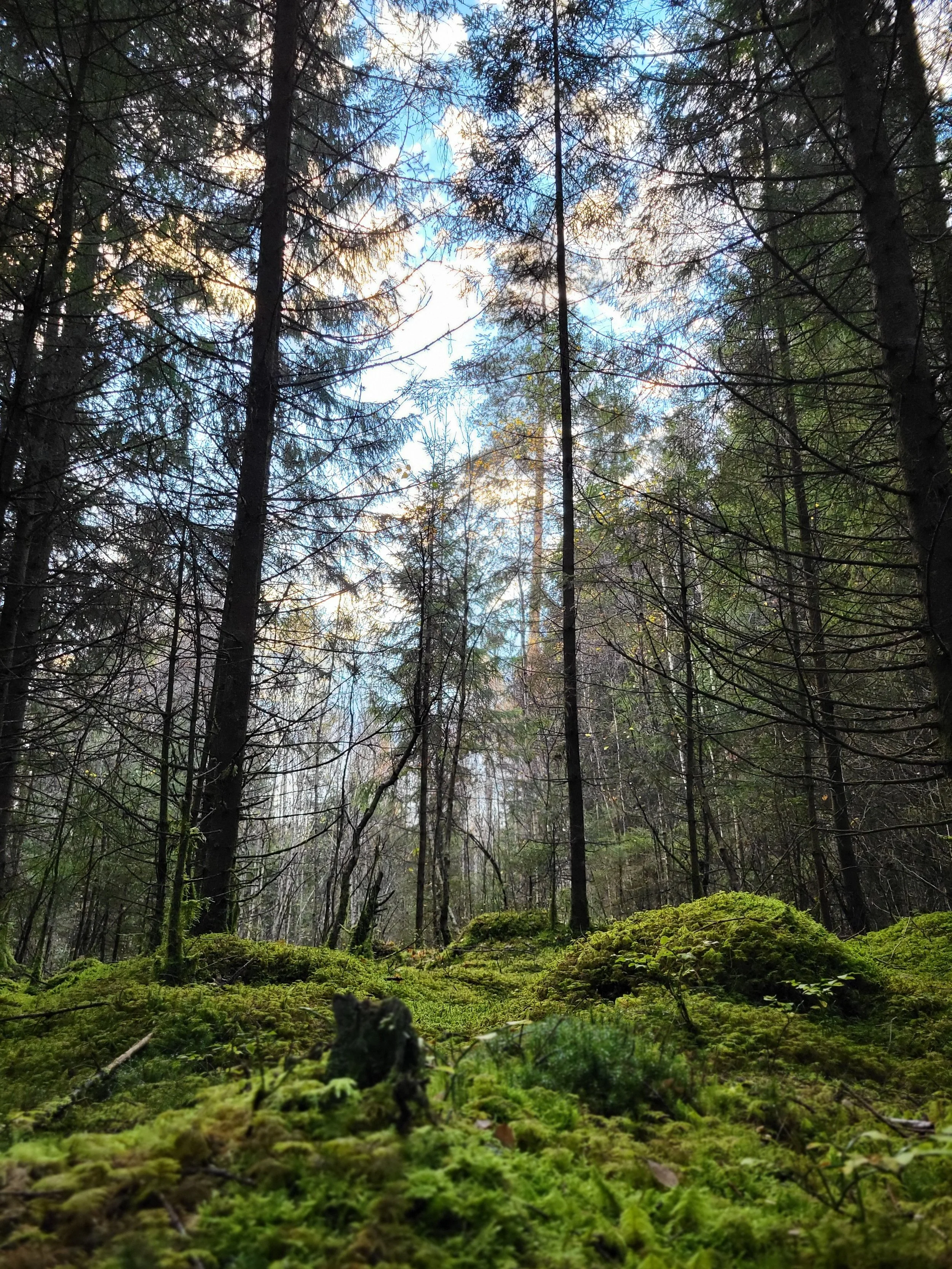 by.gonsen &amp; Årstidens gröna