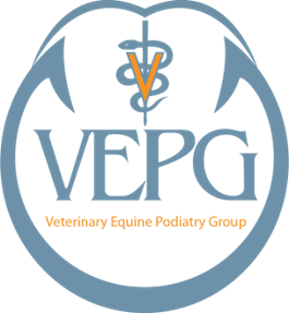 Veterinary Equine Podiatry Group