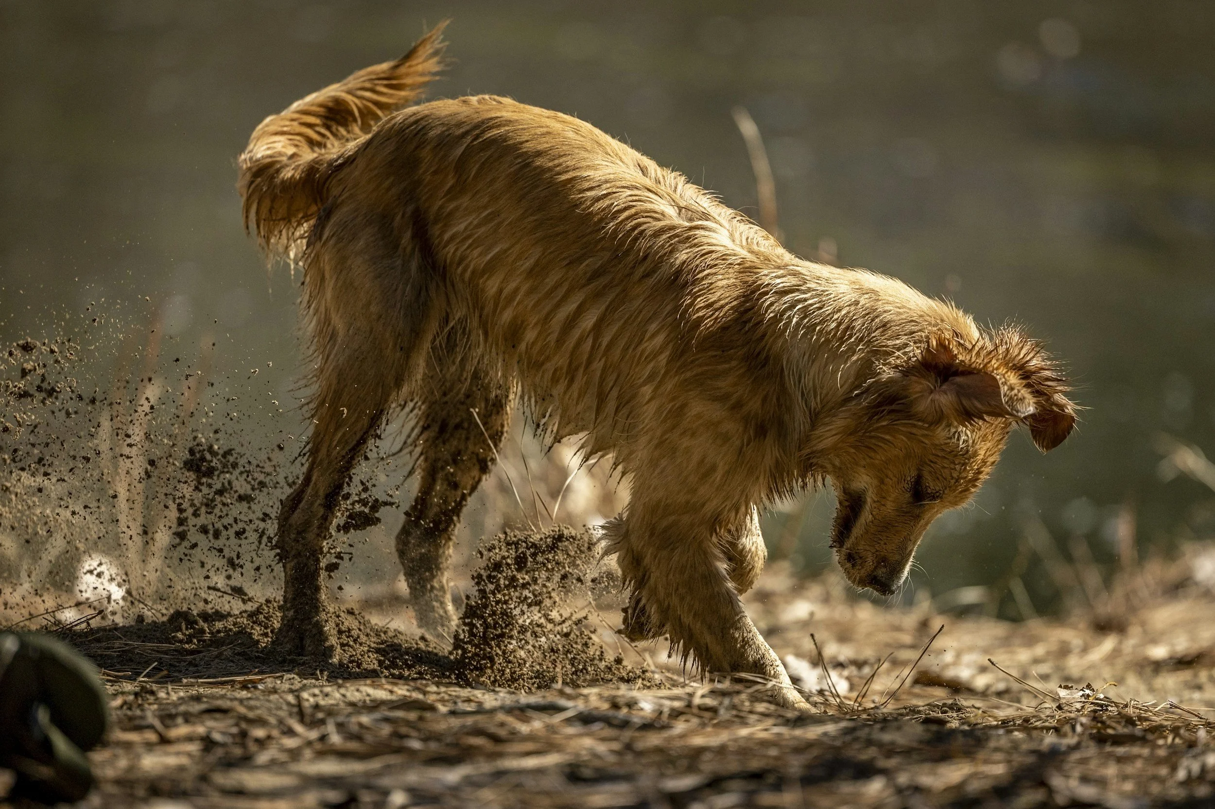 Project: After the Drive