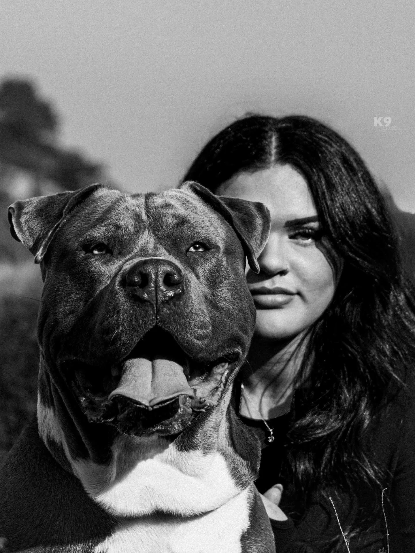 Eyes tell the story.

@shaniasofia and Blue 💙

#xlbully #theeyeschicotheyneverlie #dogsofinstagram #photography #art